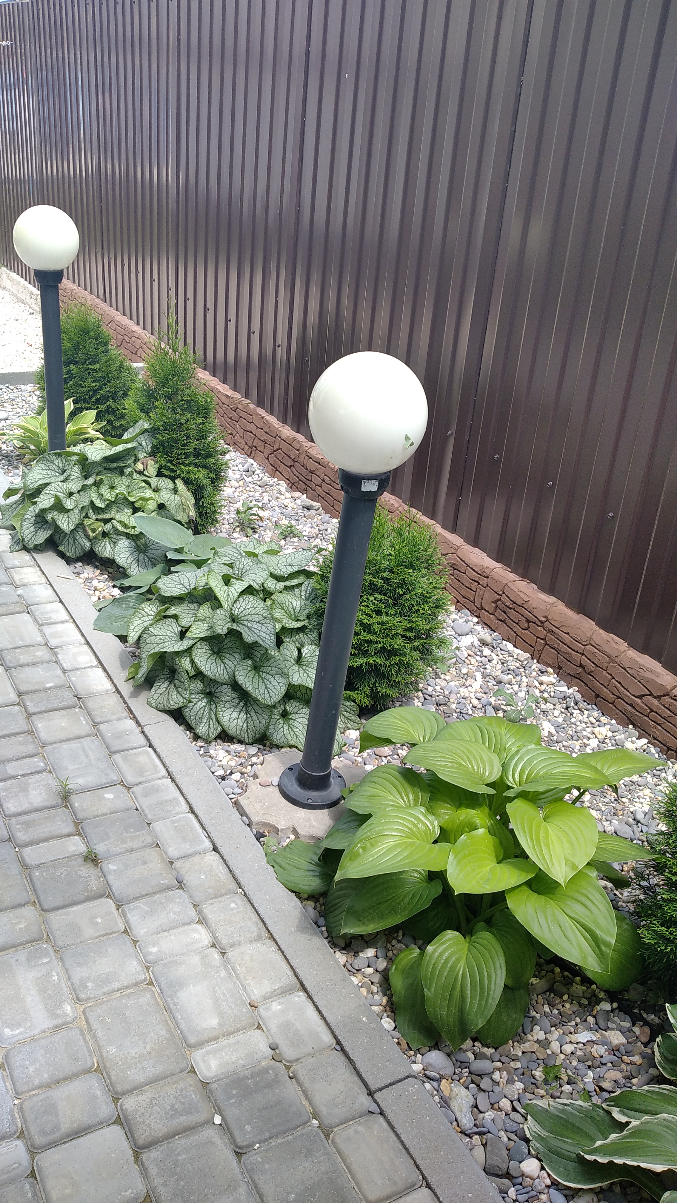 Фото Пилигрим