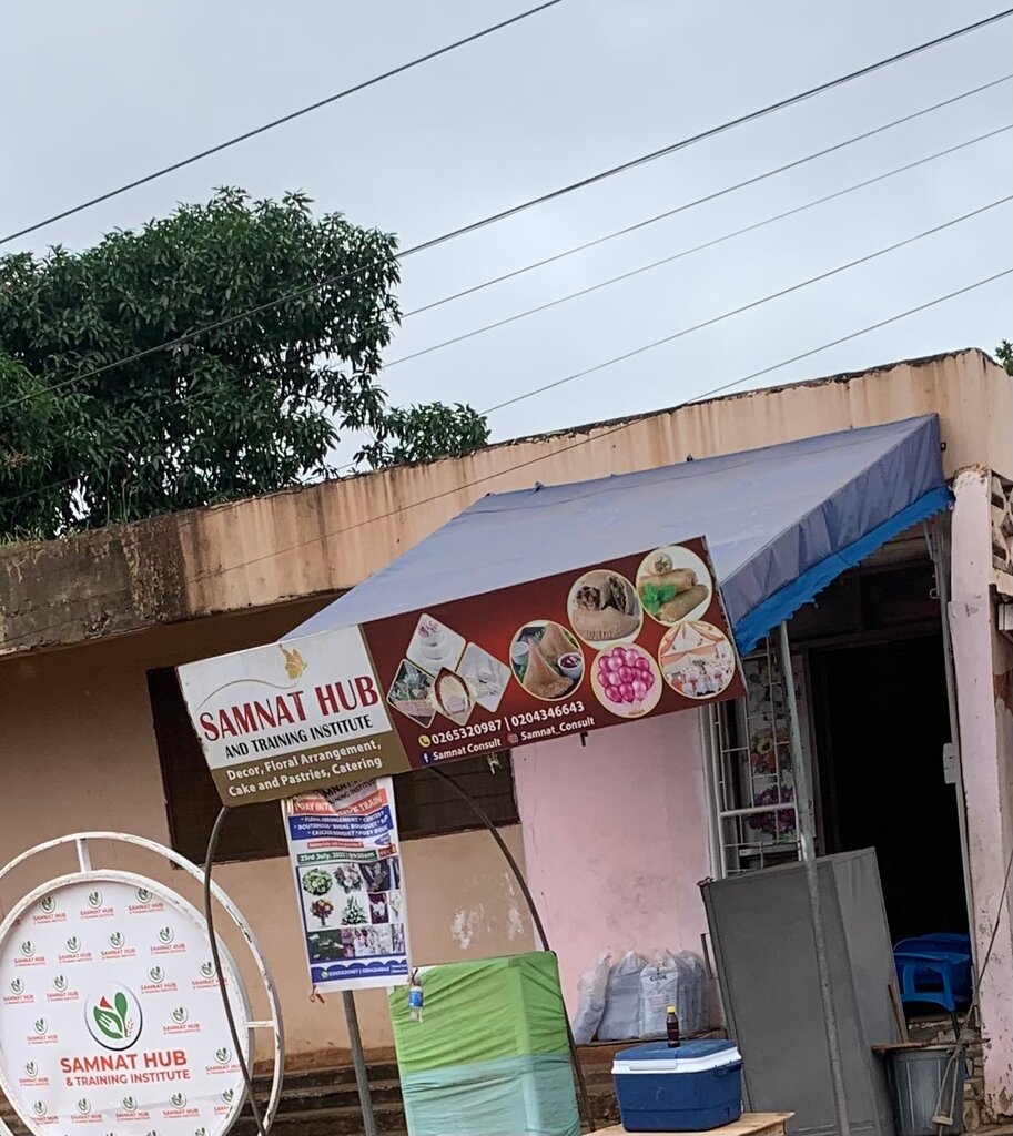 Organization and maintenance of exhibitions Samnat hub, Earth, photo