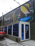 Дуремар (Zaozyorniy Microdistrict, 4) ، أحواض السمك