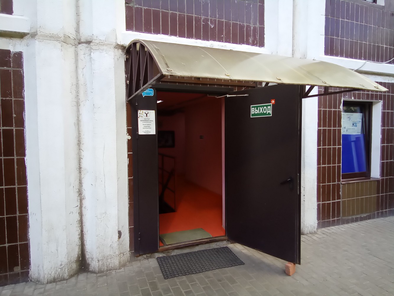 Фото Вежливый Лось