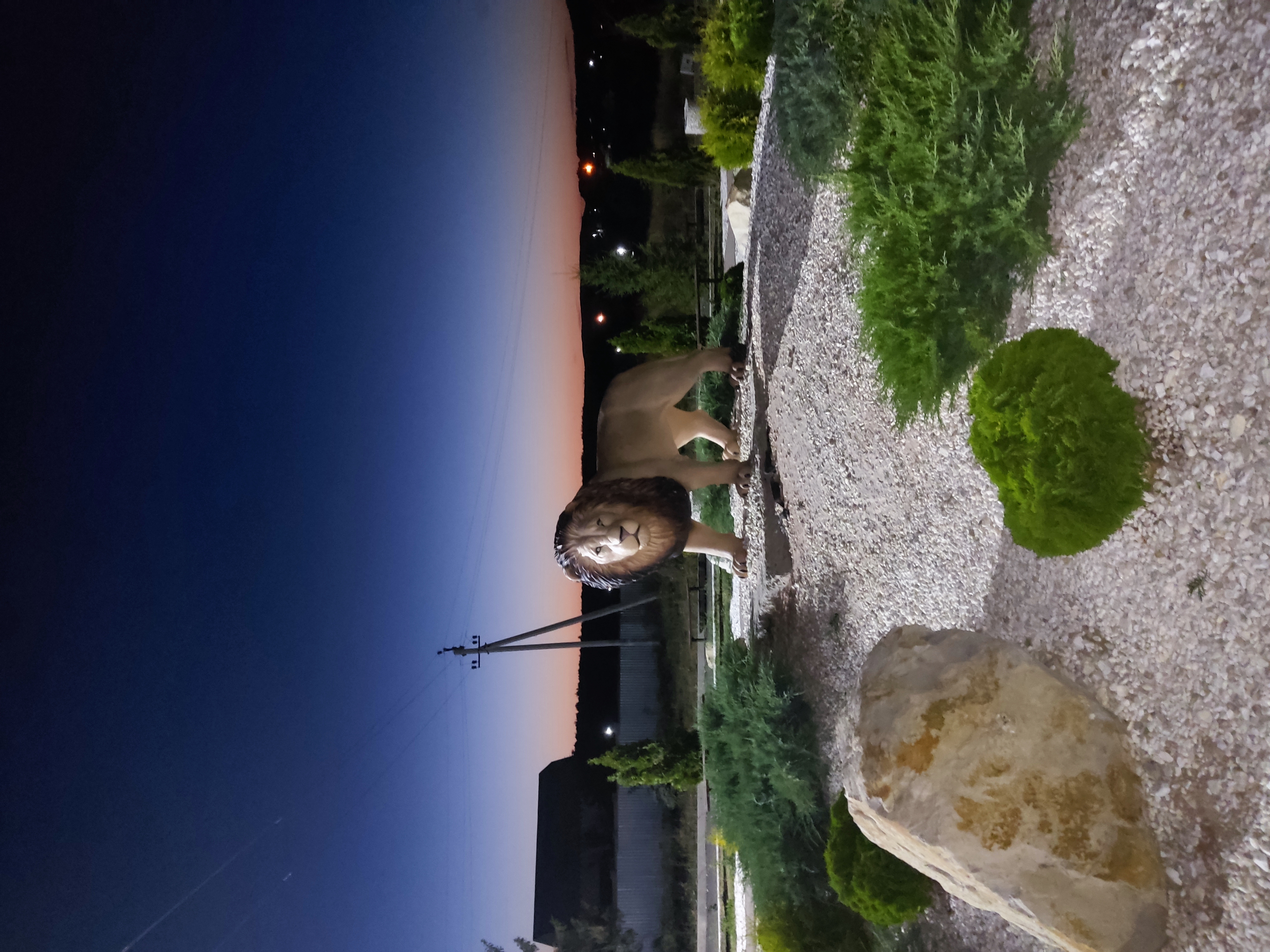 Фото Белые ивы