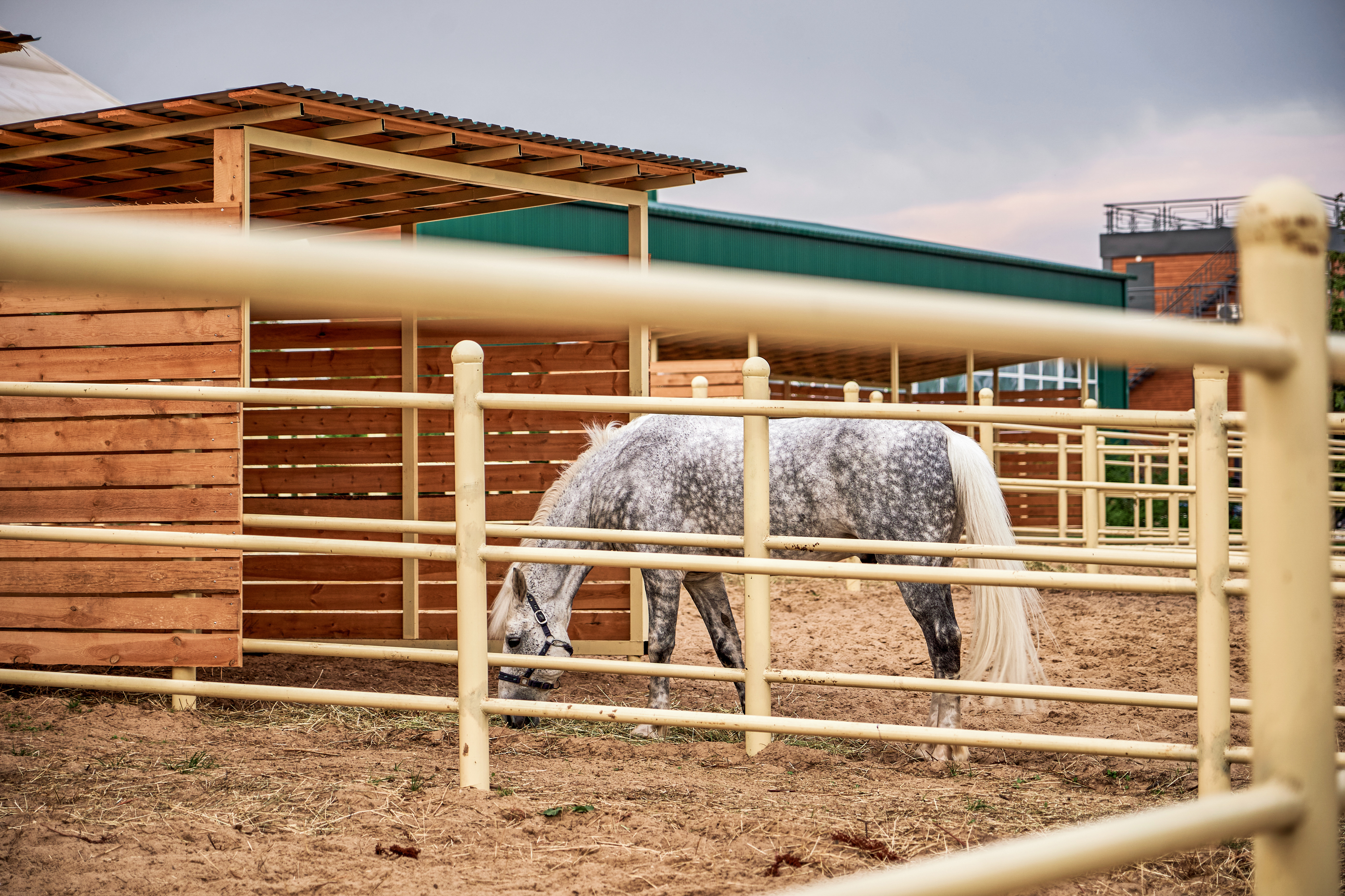 Фото Green Club Family