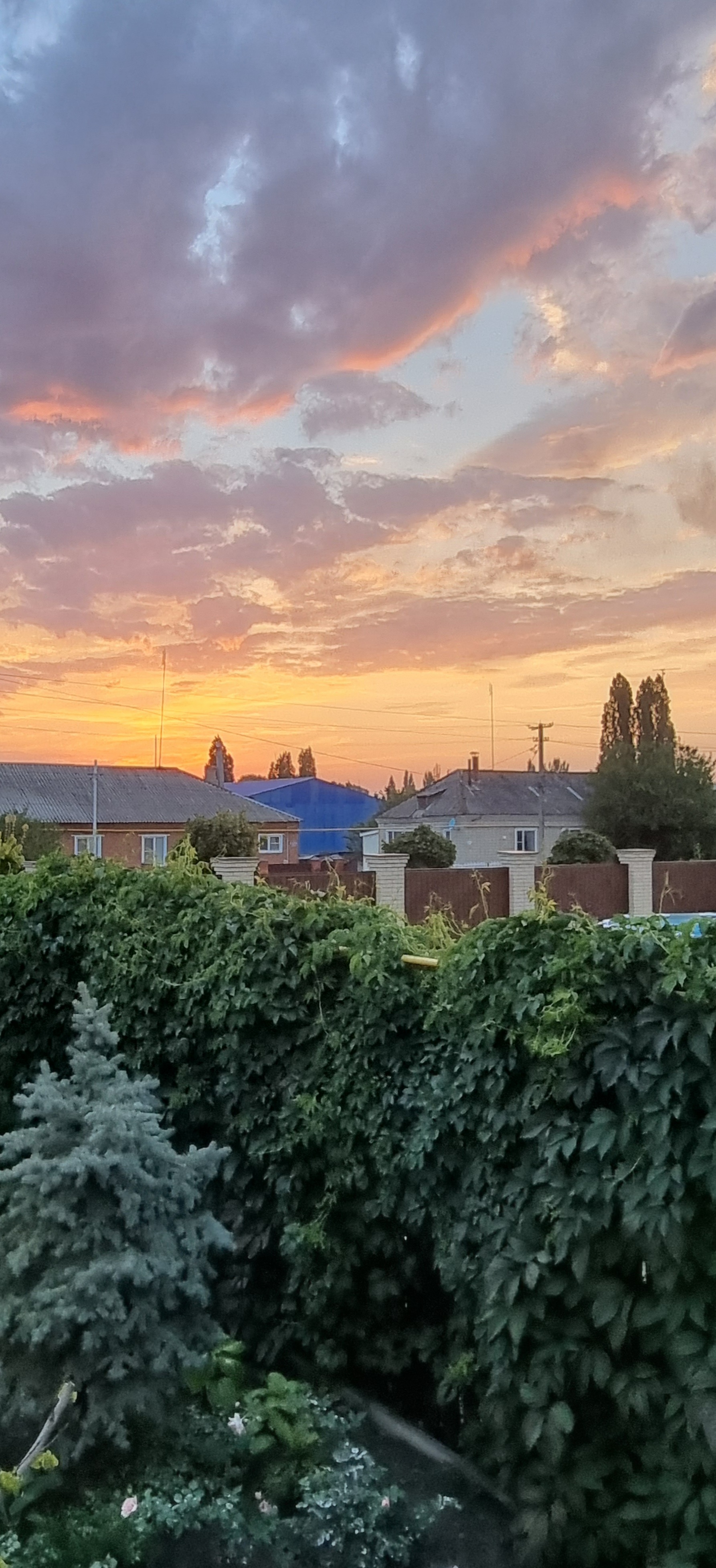 Фото Прованс