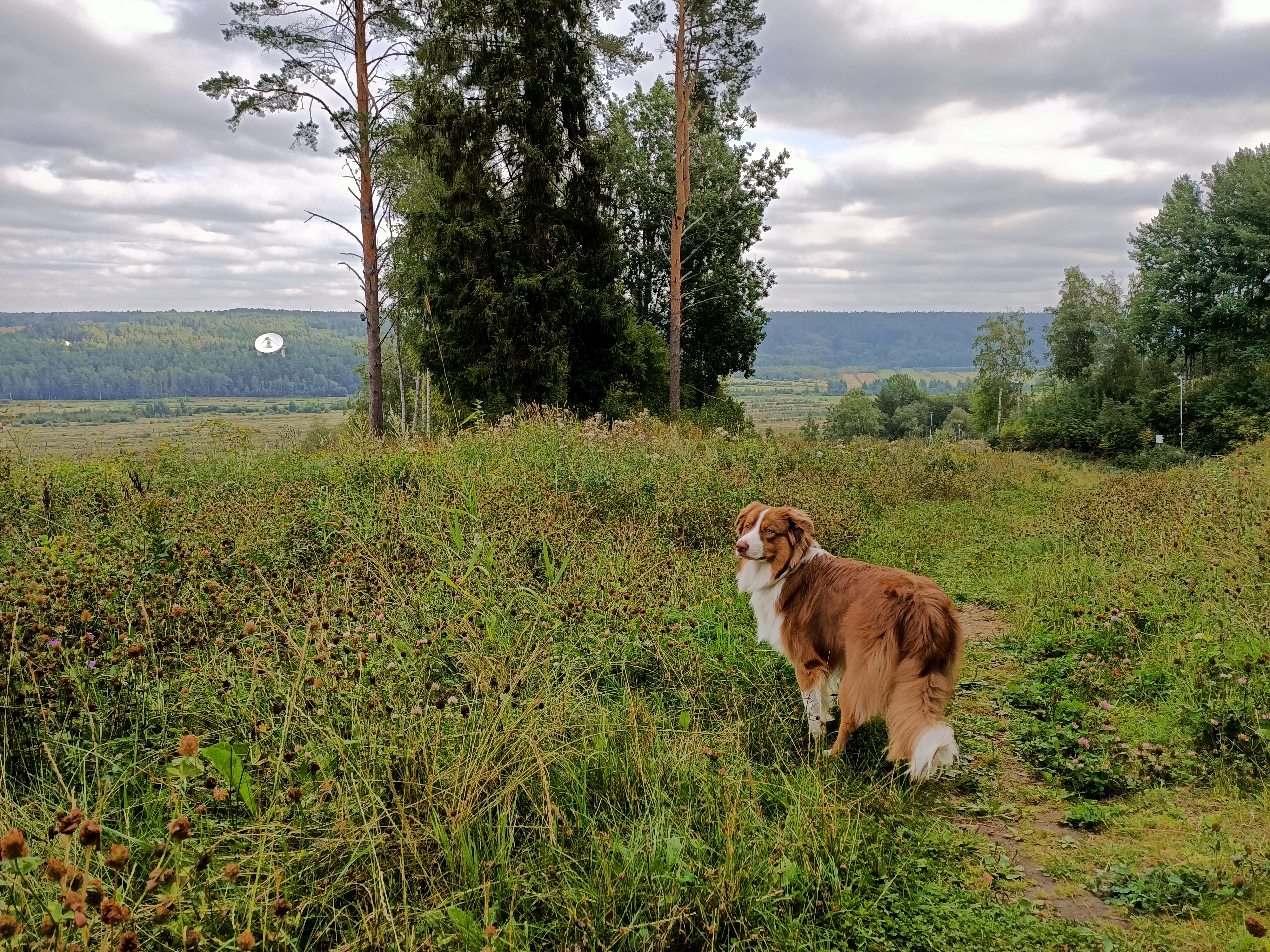 Фото Снежный