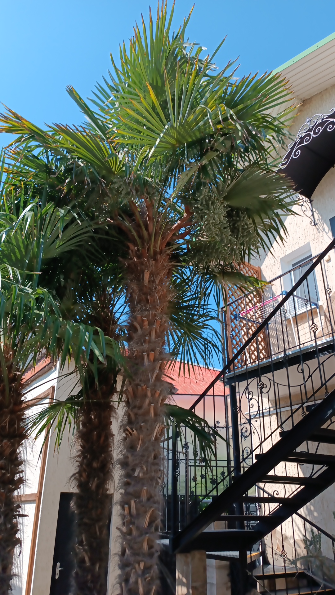 Фото Вилла Opc