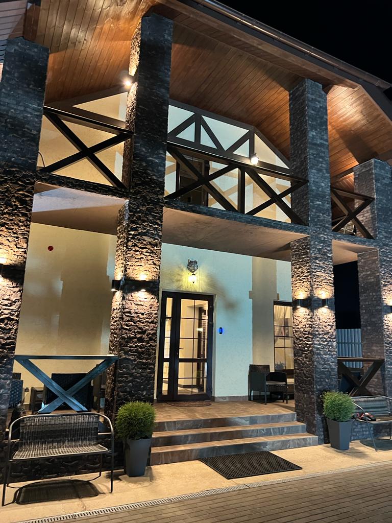 Фото Серый Волк