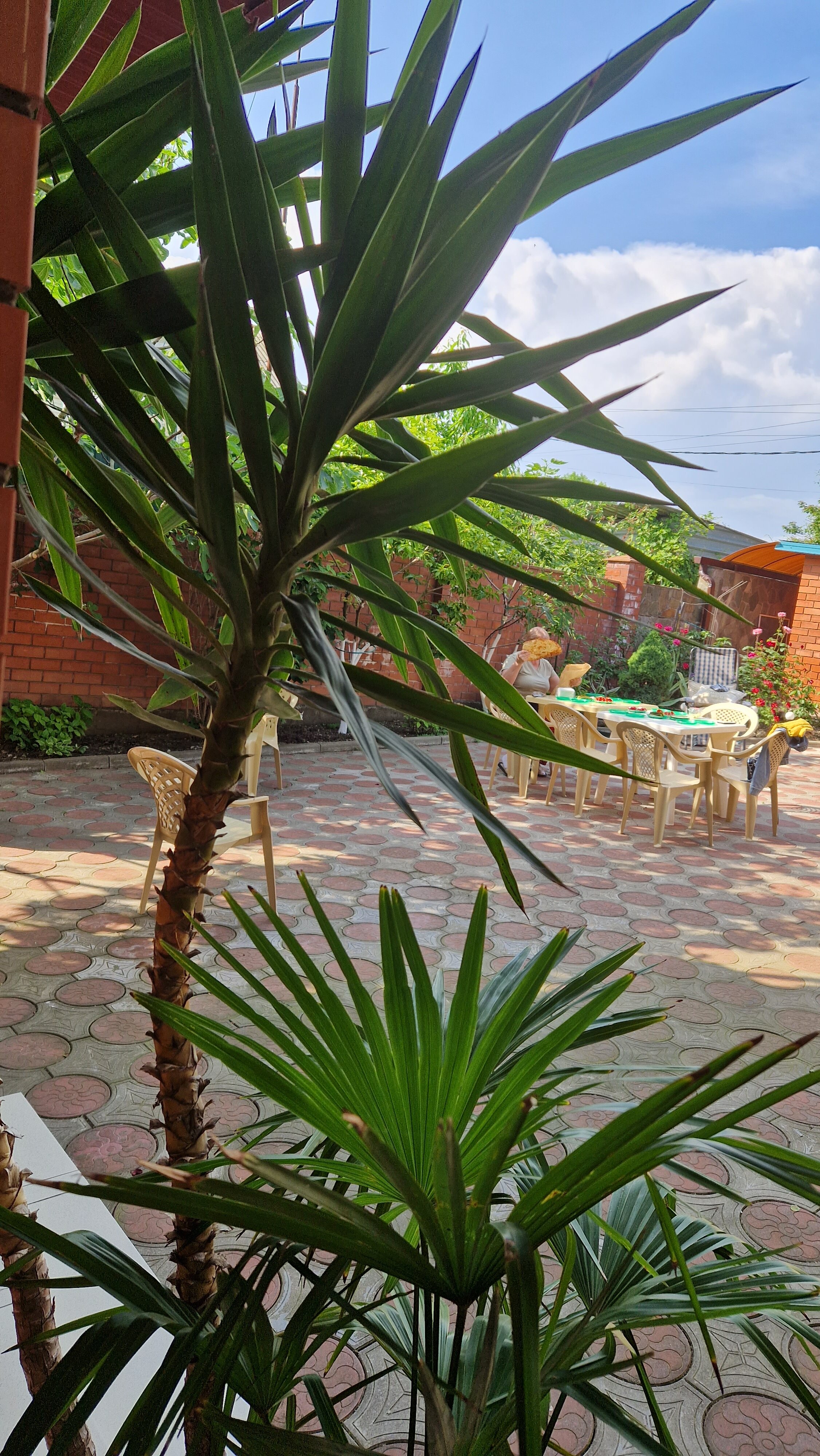 Фото Эллада