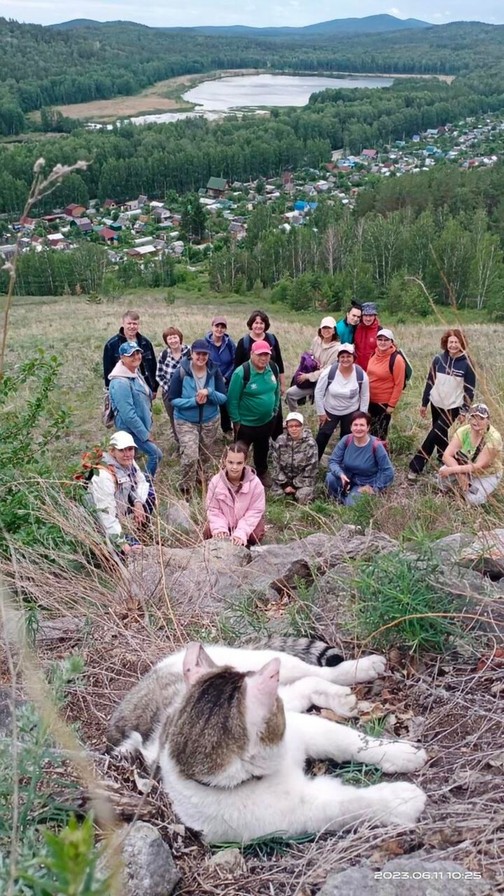 Фото Дикая Вишня