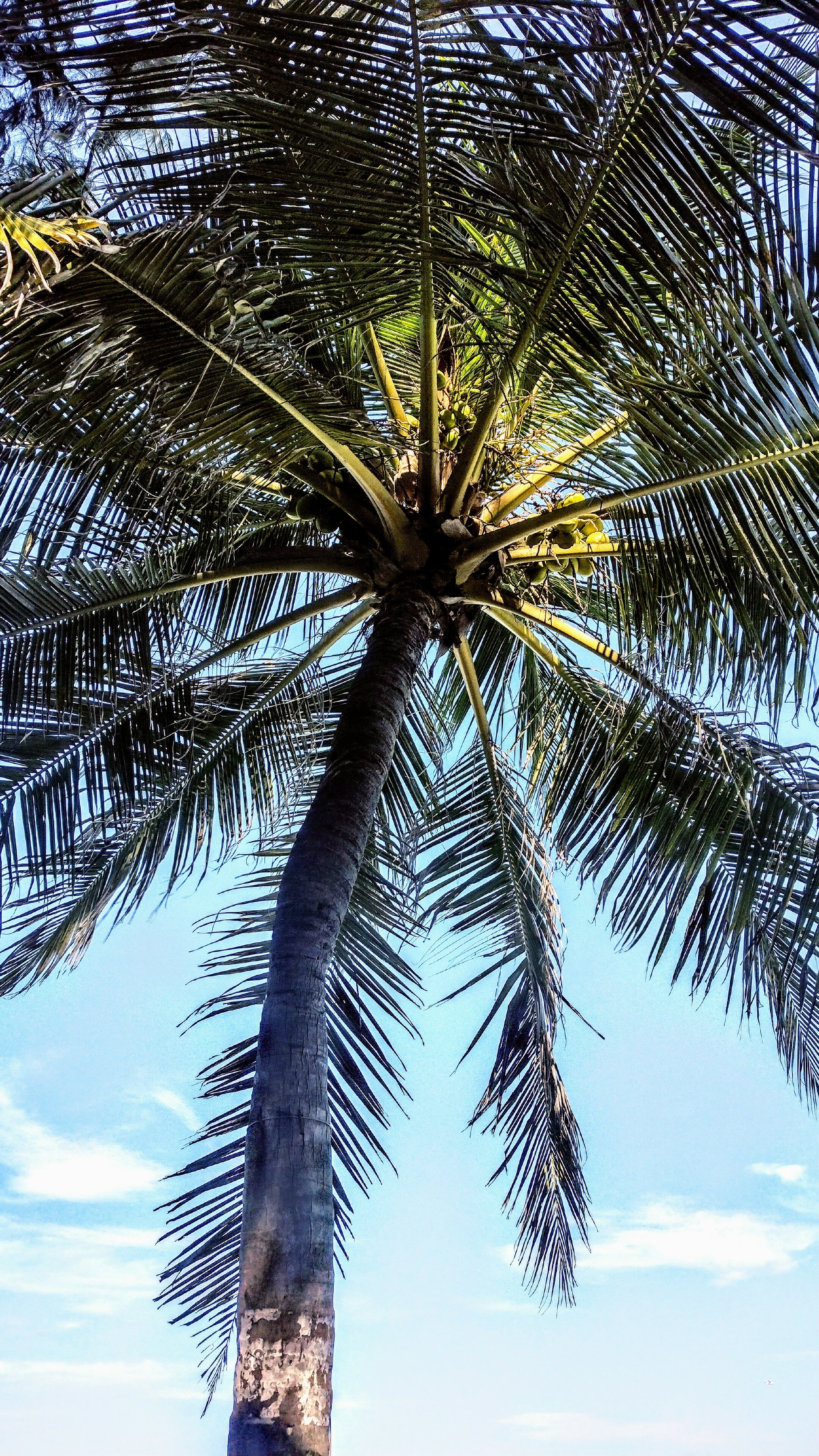 Фото Hotel Elite Inn