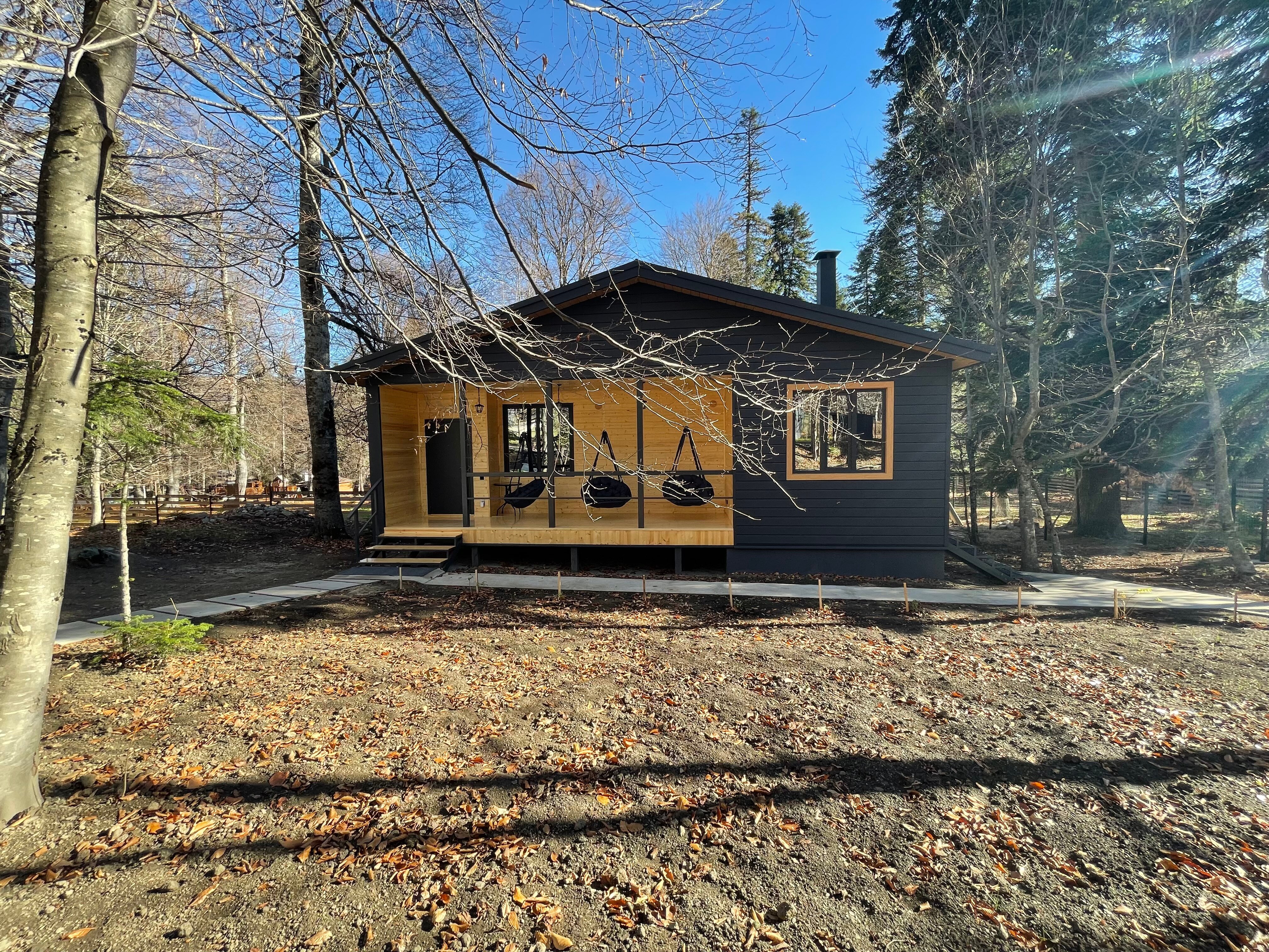 Фото ЗимаЛето