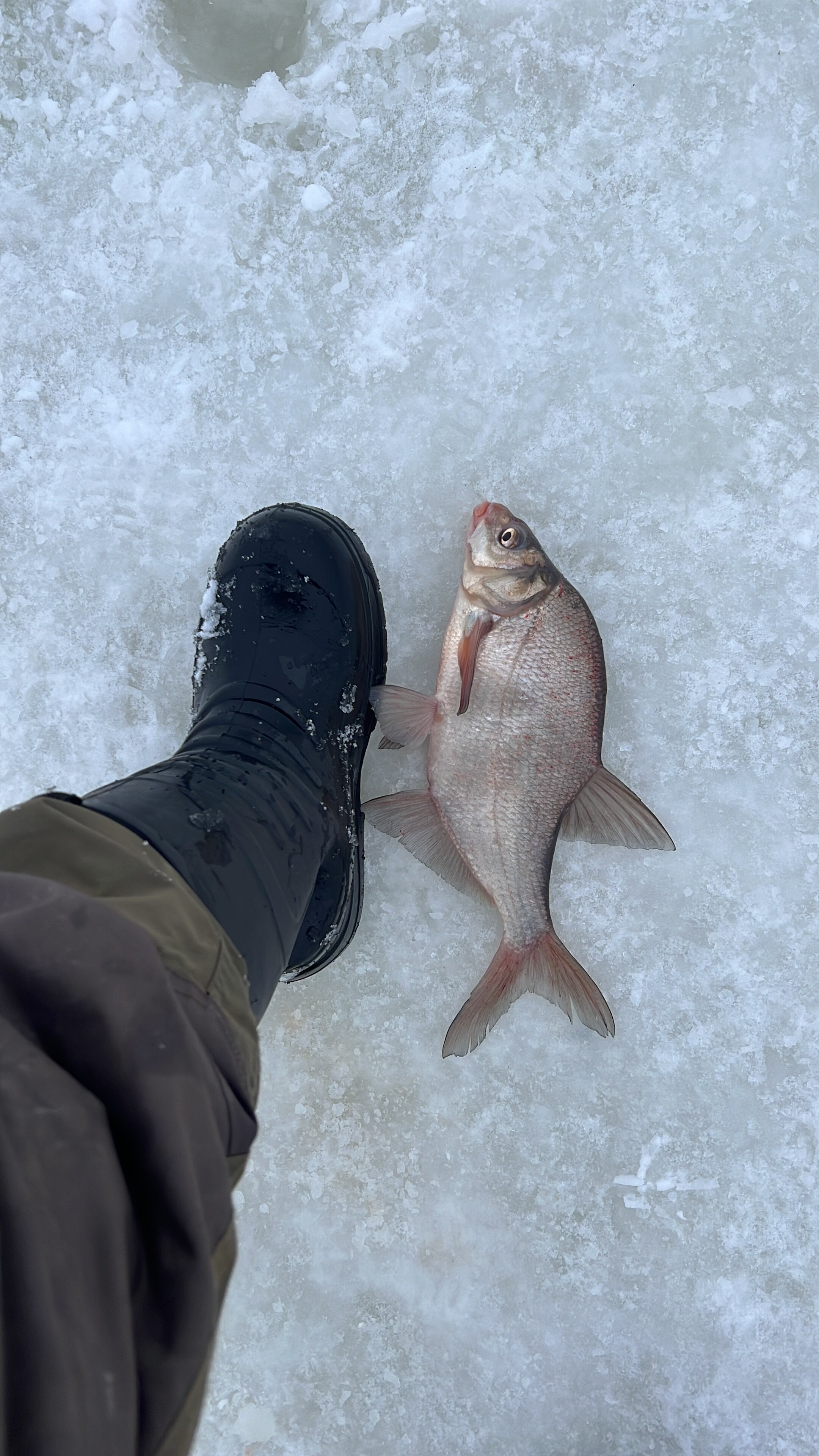 Фото Выродово-Клуб