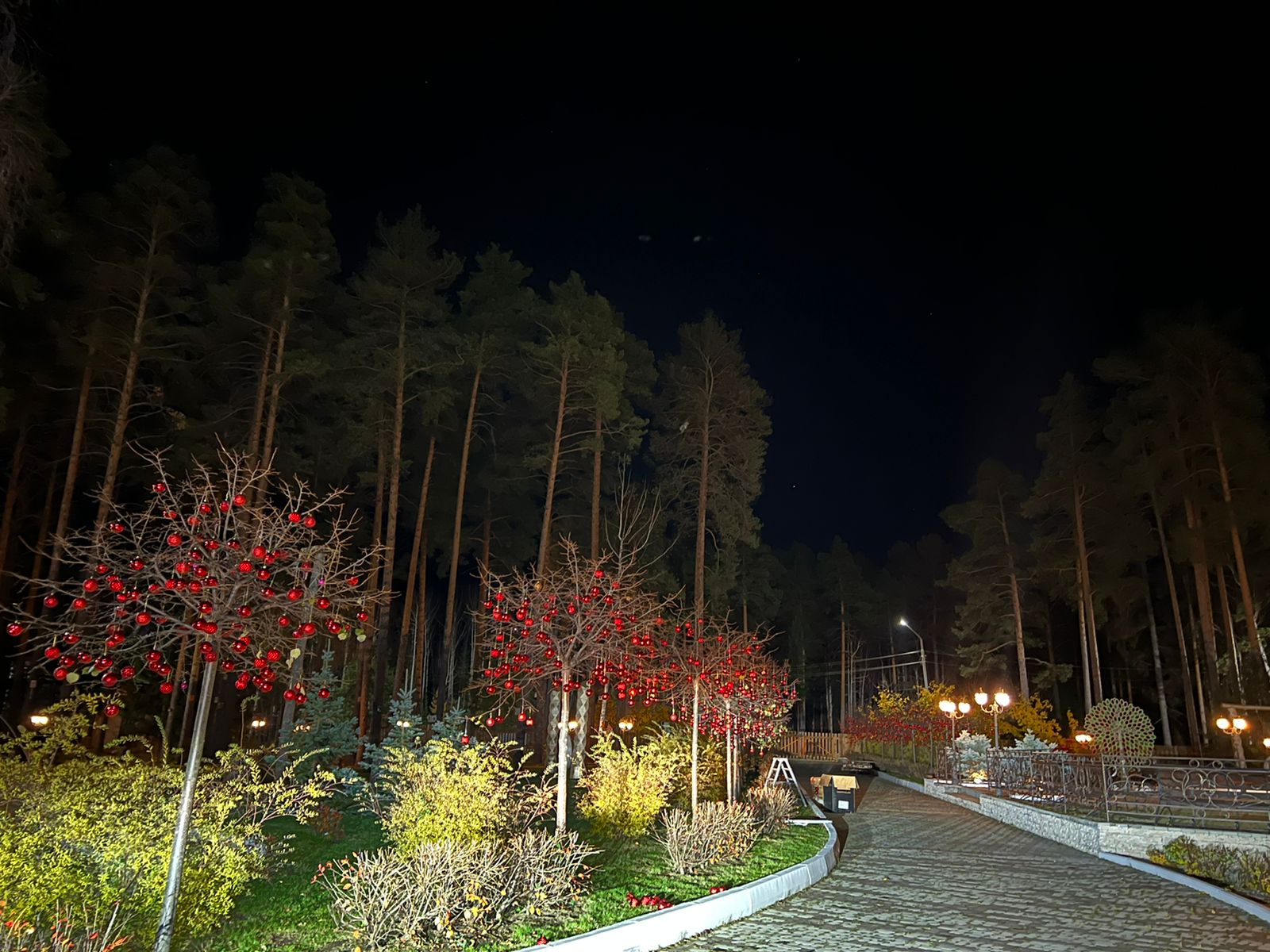 Фото Лесная