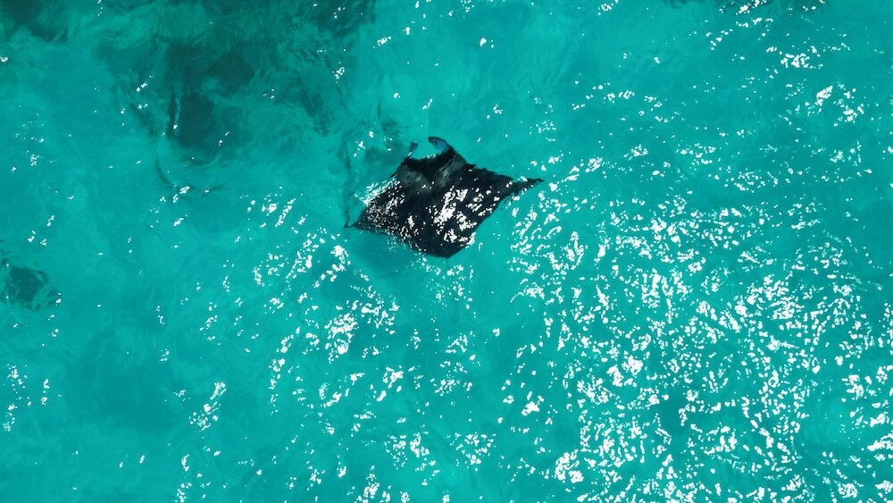 Фото Viva Beach & SPA Maldives