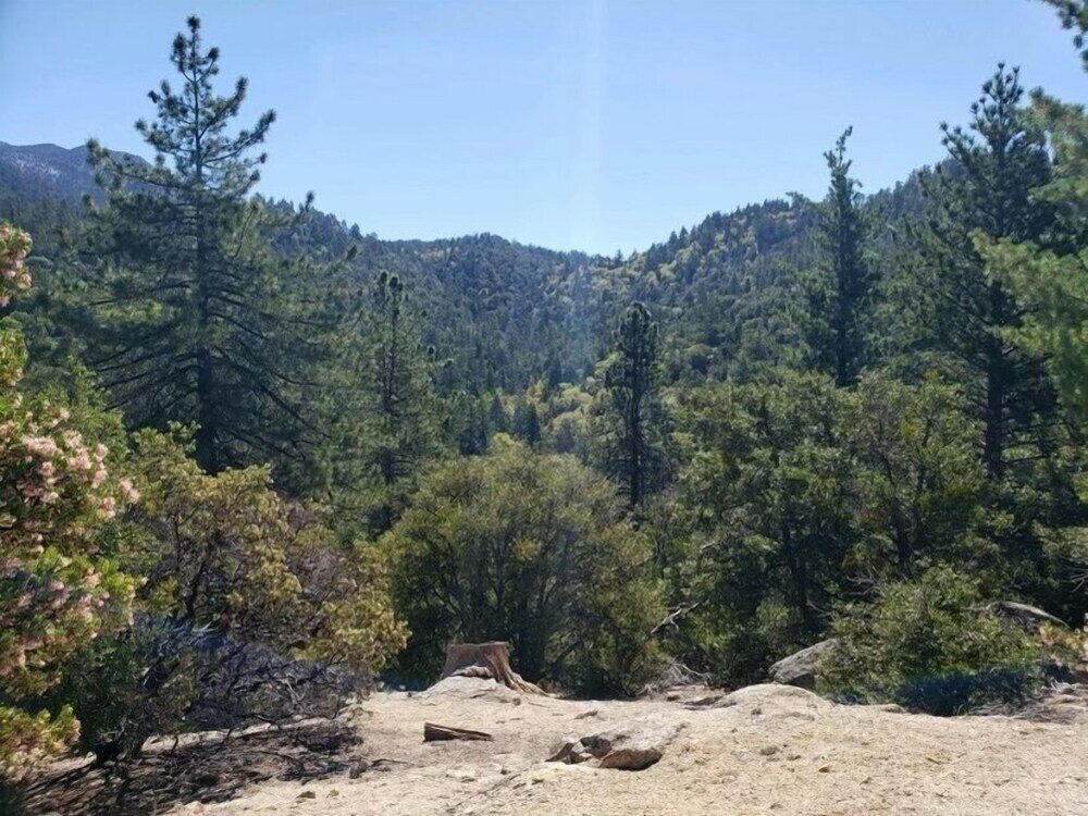 Фото Alhatti Christian Resort