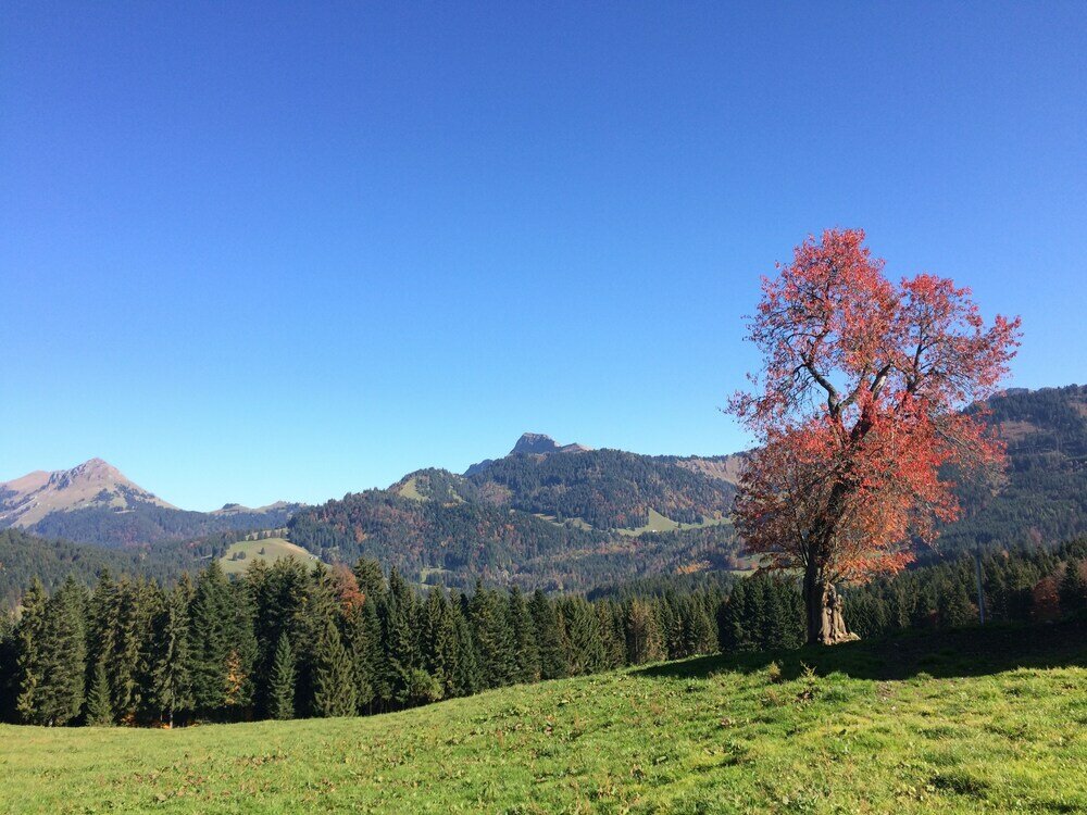 Фото Montreux holiday home