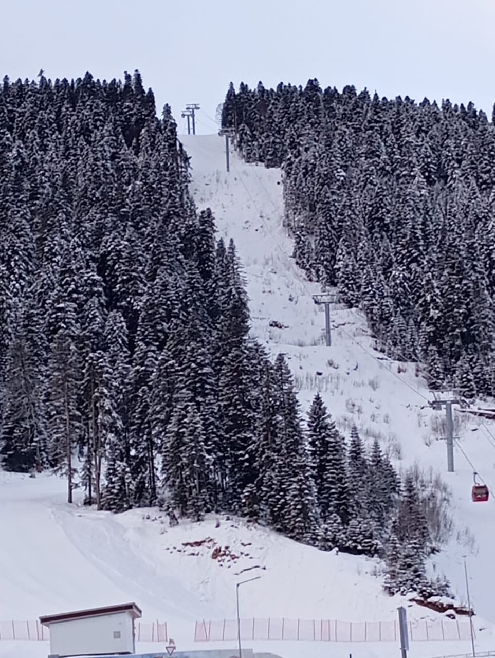 Фото В моменте