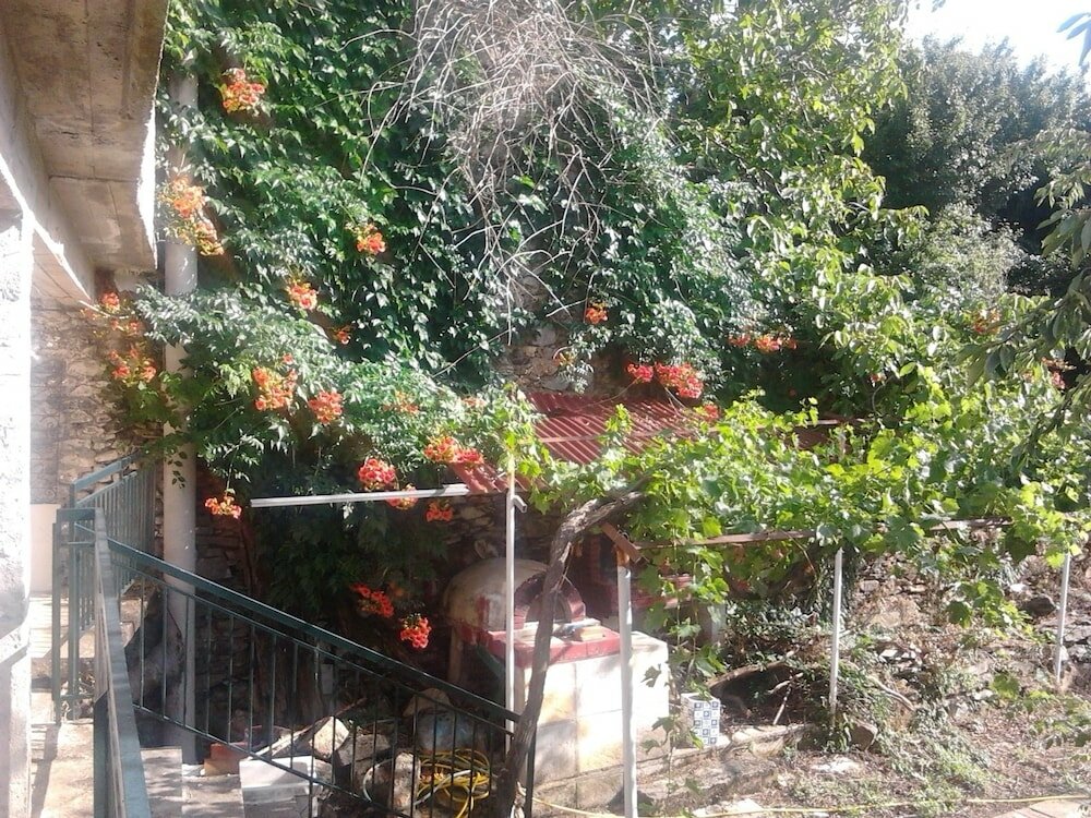 Фото Villa Artemis