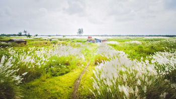 Фото Hoi An Hideaway Villa