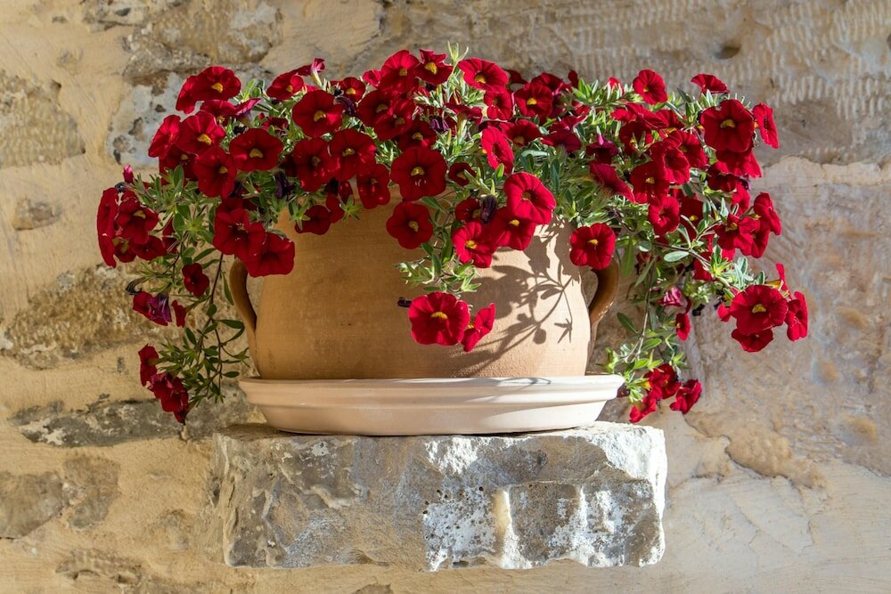 Фото Villa Theta with private pool