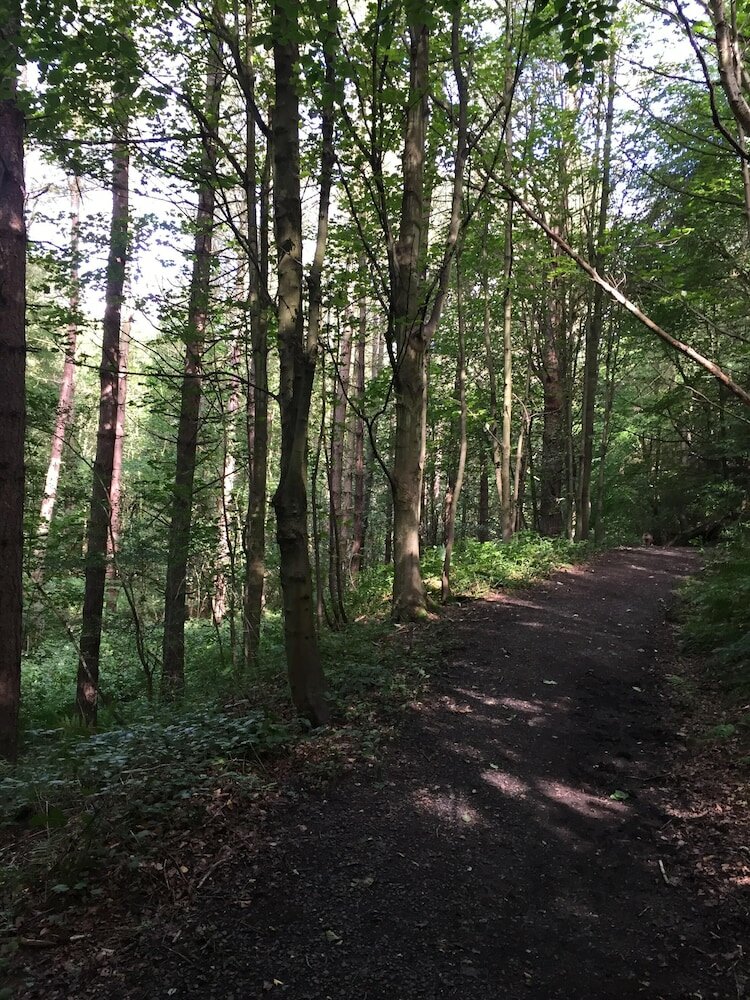 Фото 1 Twizell Lane