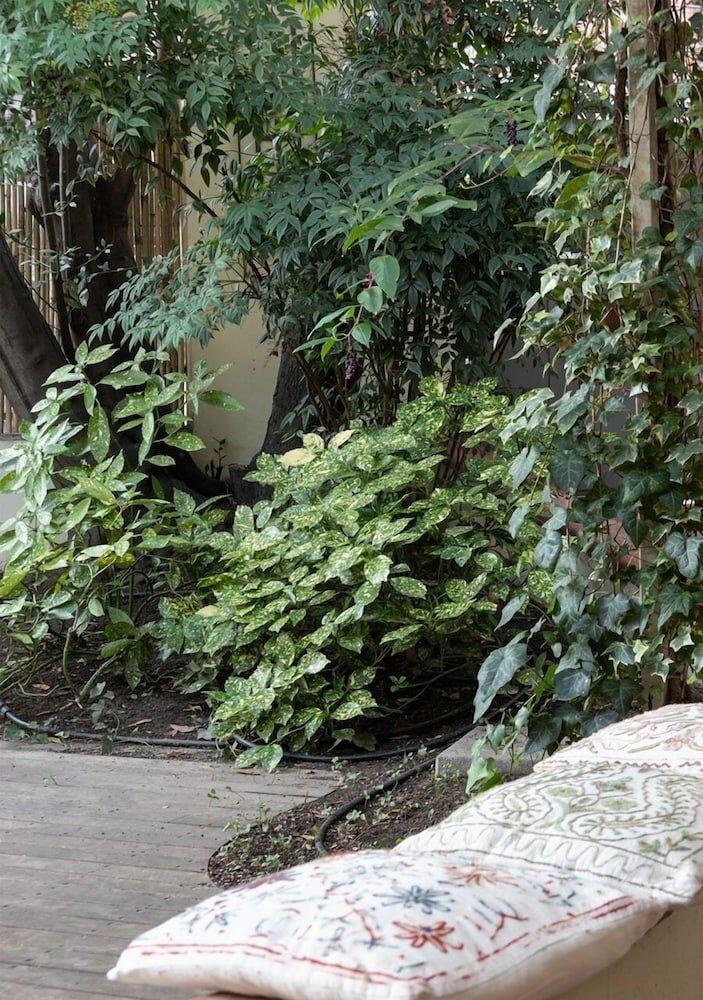 Фото B&b Arianna