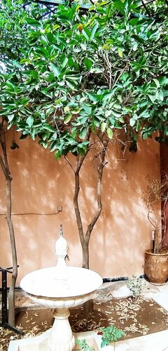 Гостиница Le petit jardin Marrakech в Марракеше
