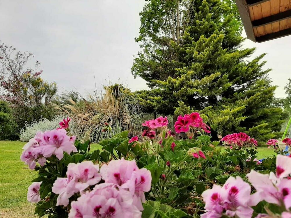 Фото Apart Cabañas Olivos del Sol