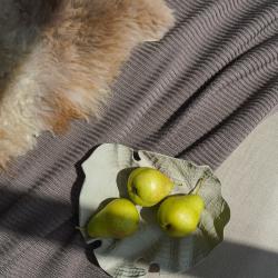 Фото Alpina House