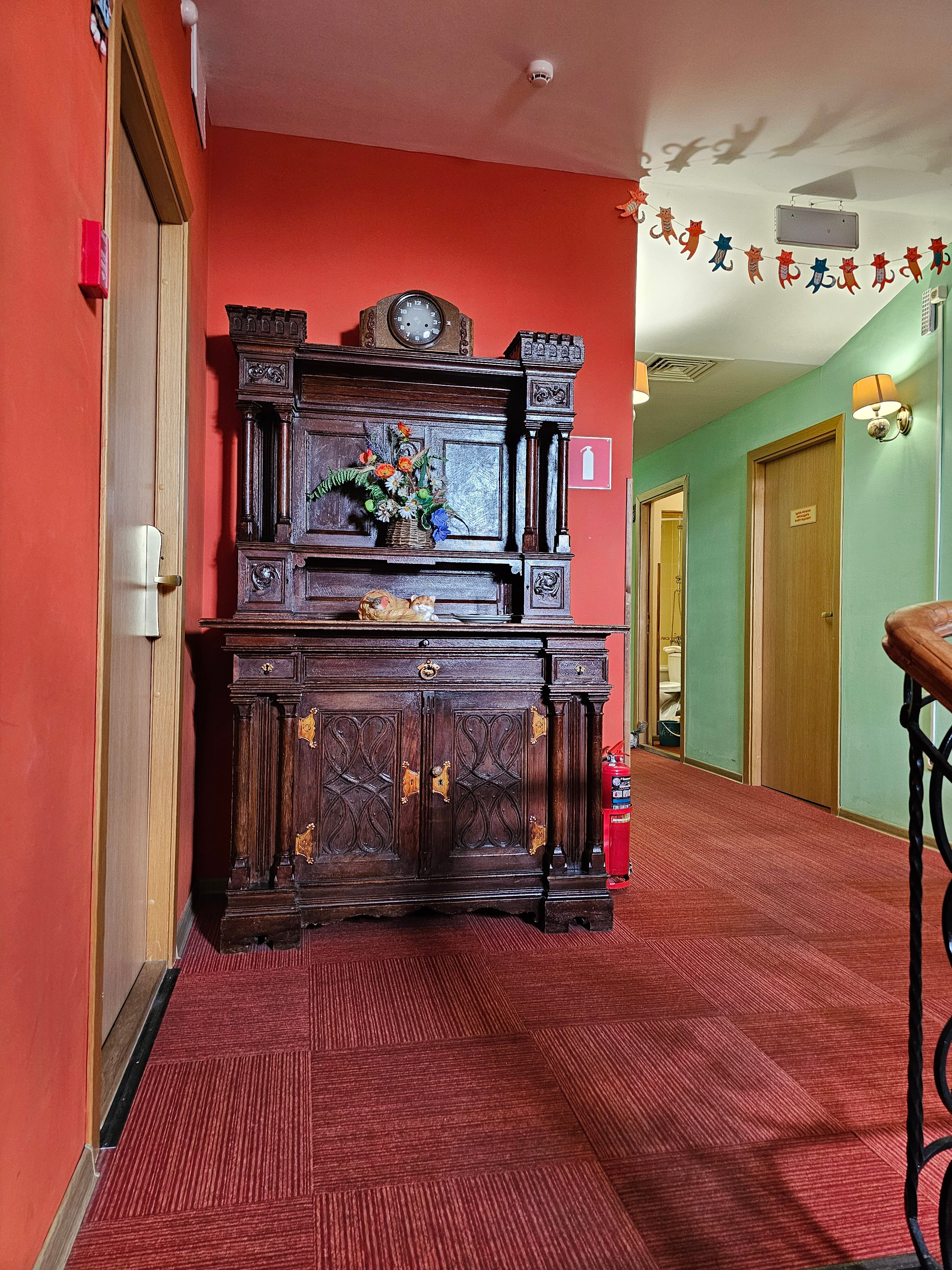 Фото Кошкин Дом