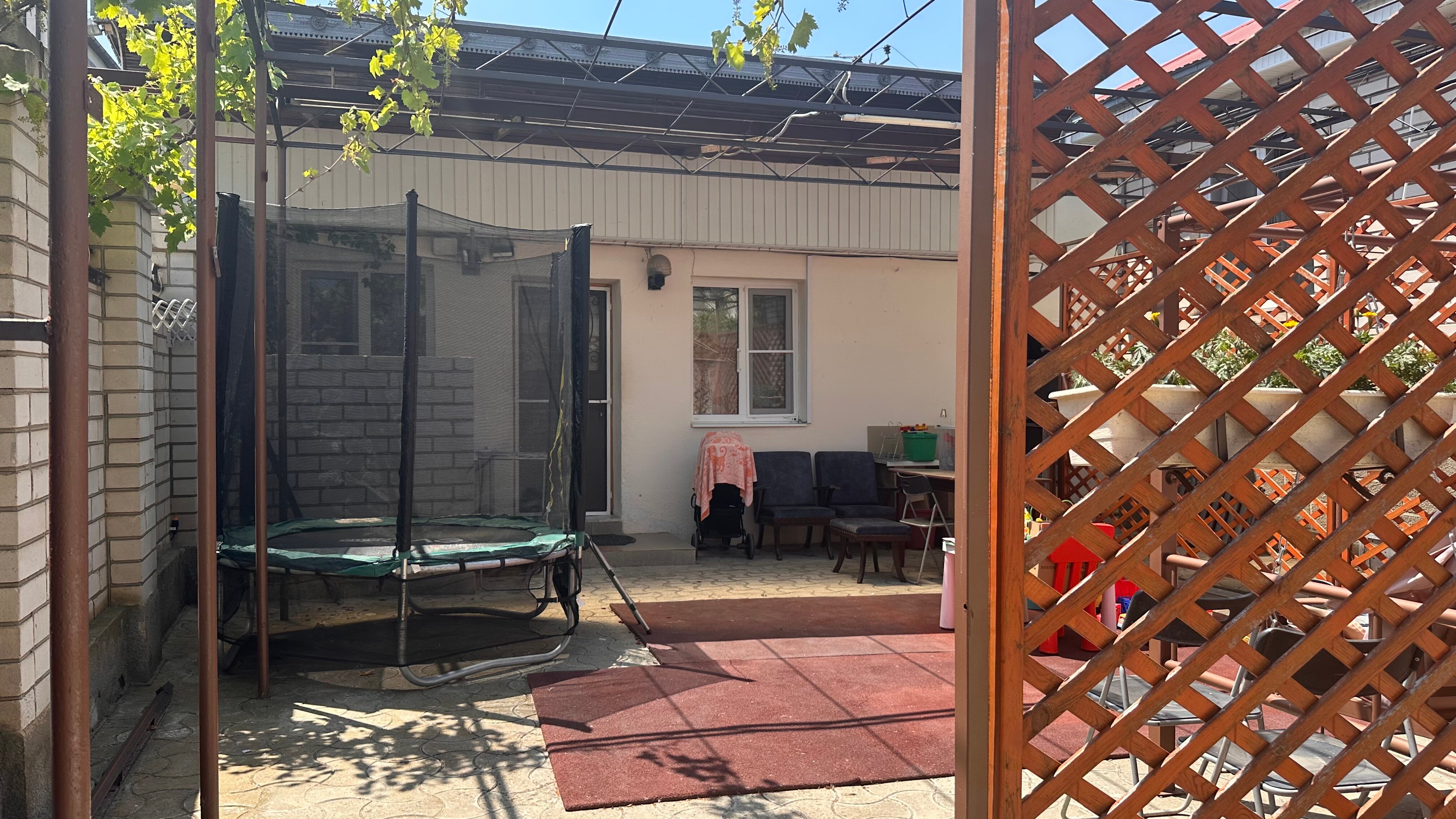 Фото Дельфиния