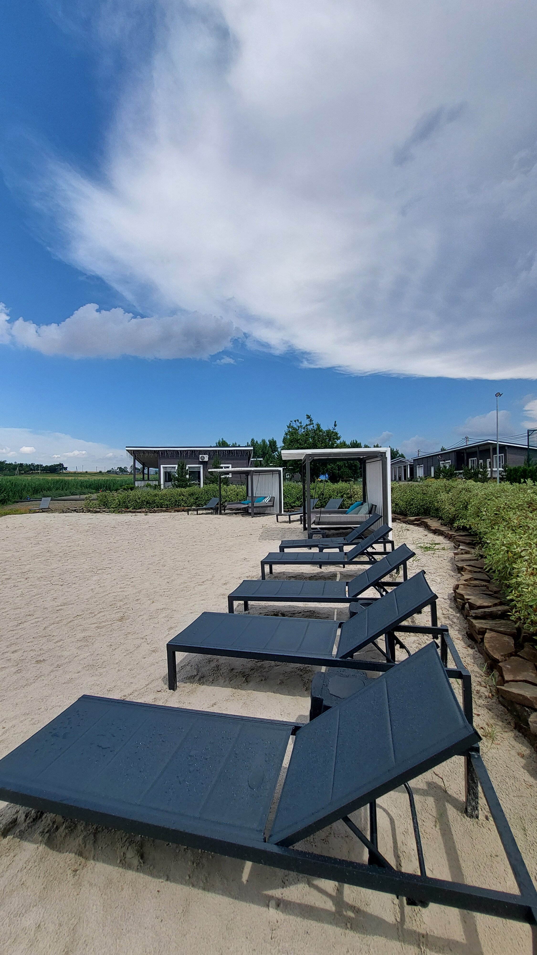 Фото Феникс