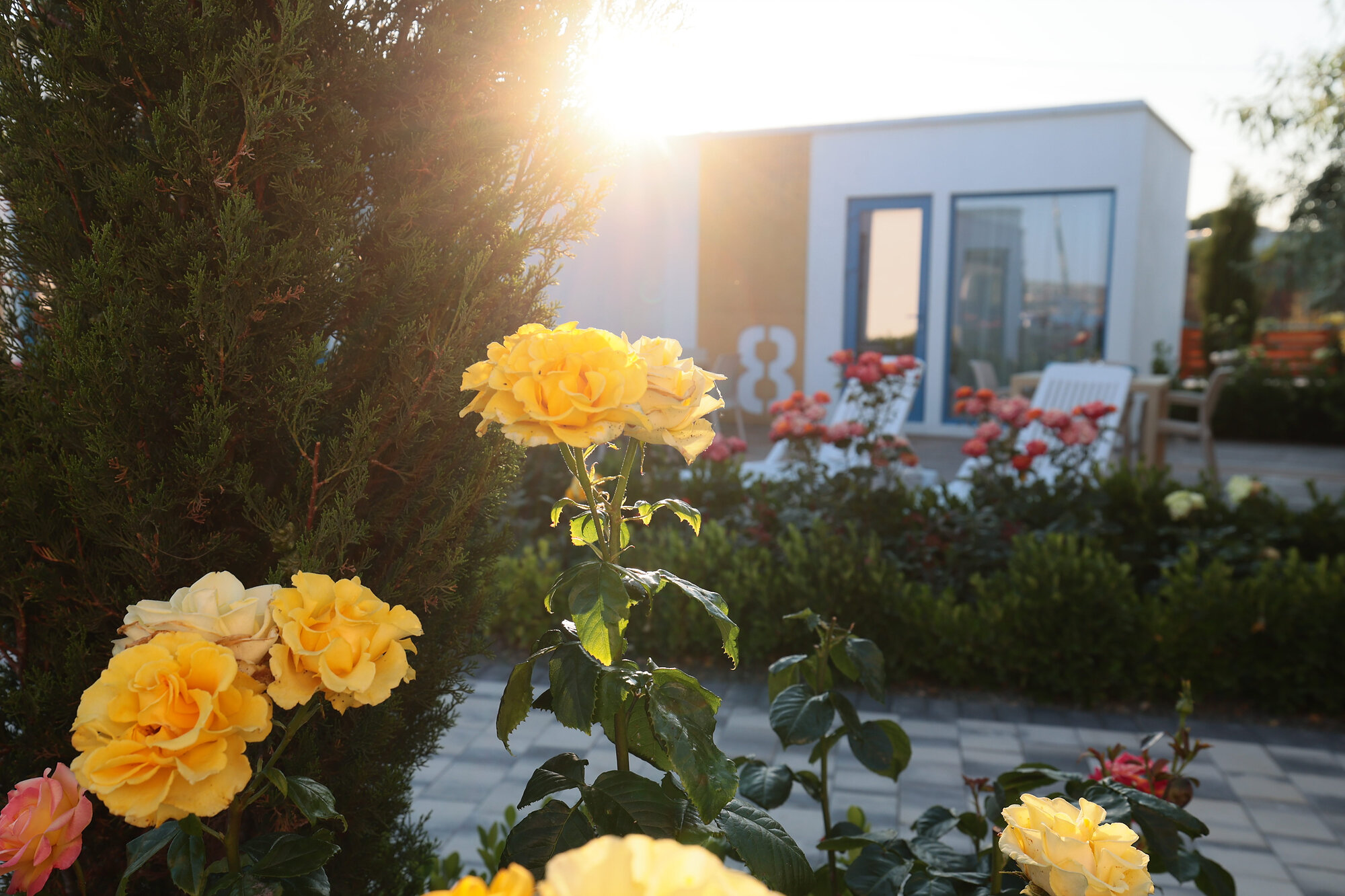 Фото отеля 4