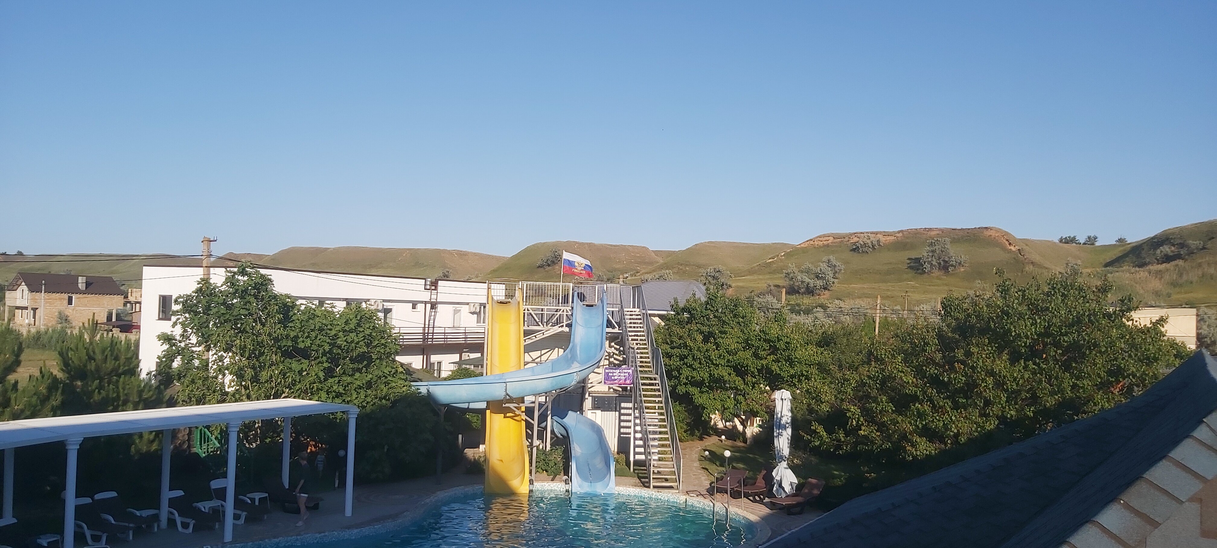 Фото Альбатрос