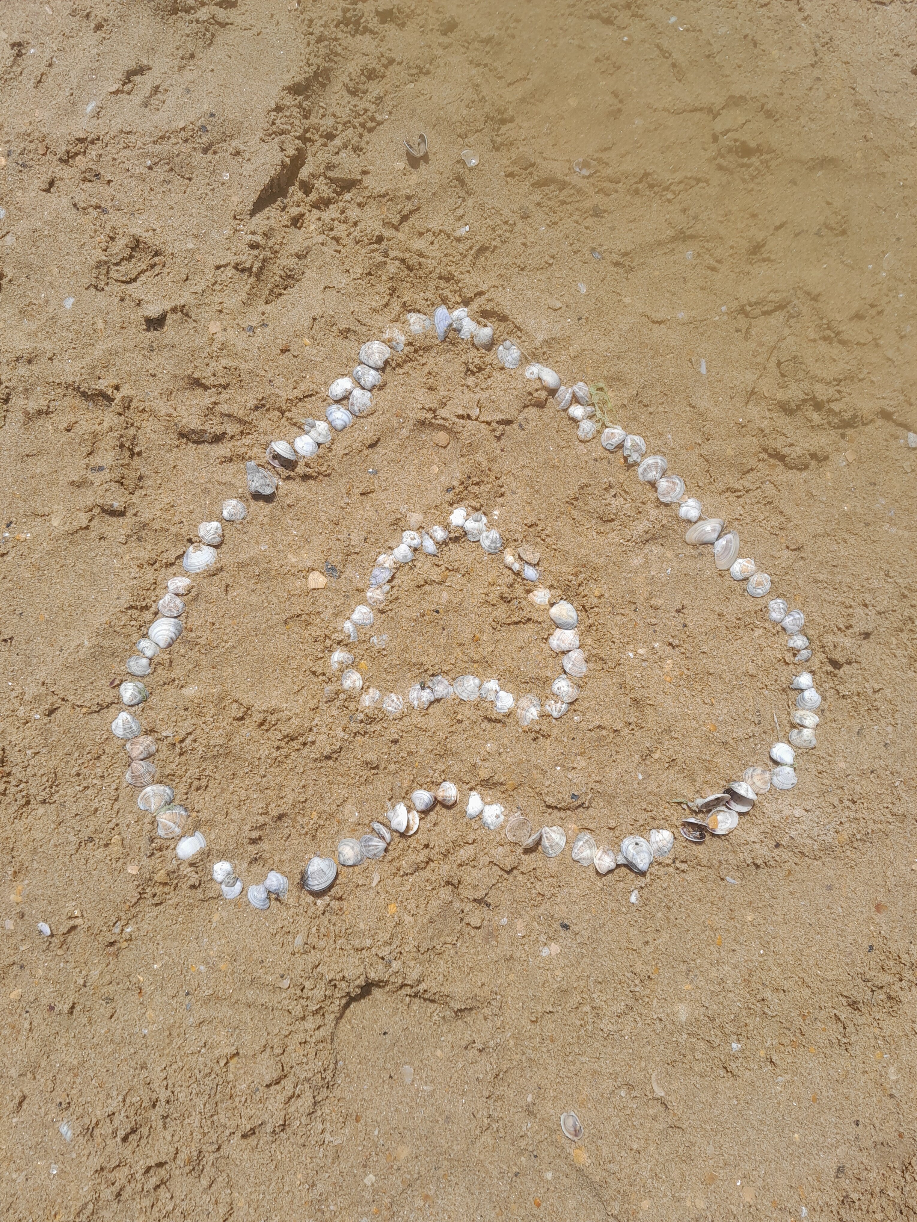 Фото Караван