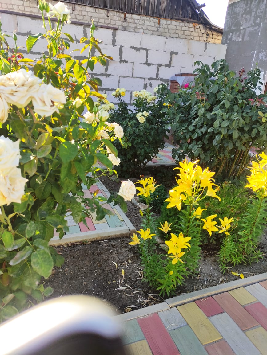 Фото Адмирал