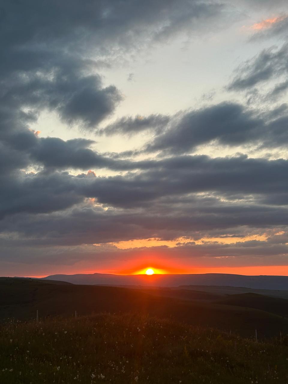 Фото Медовые Холмы