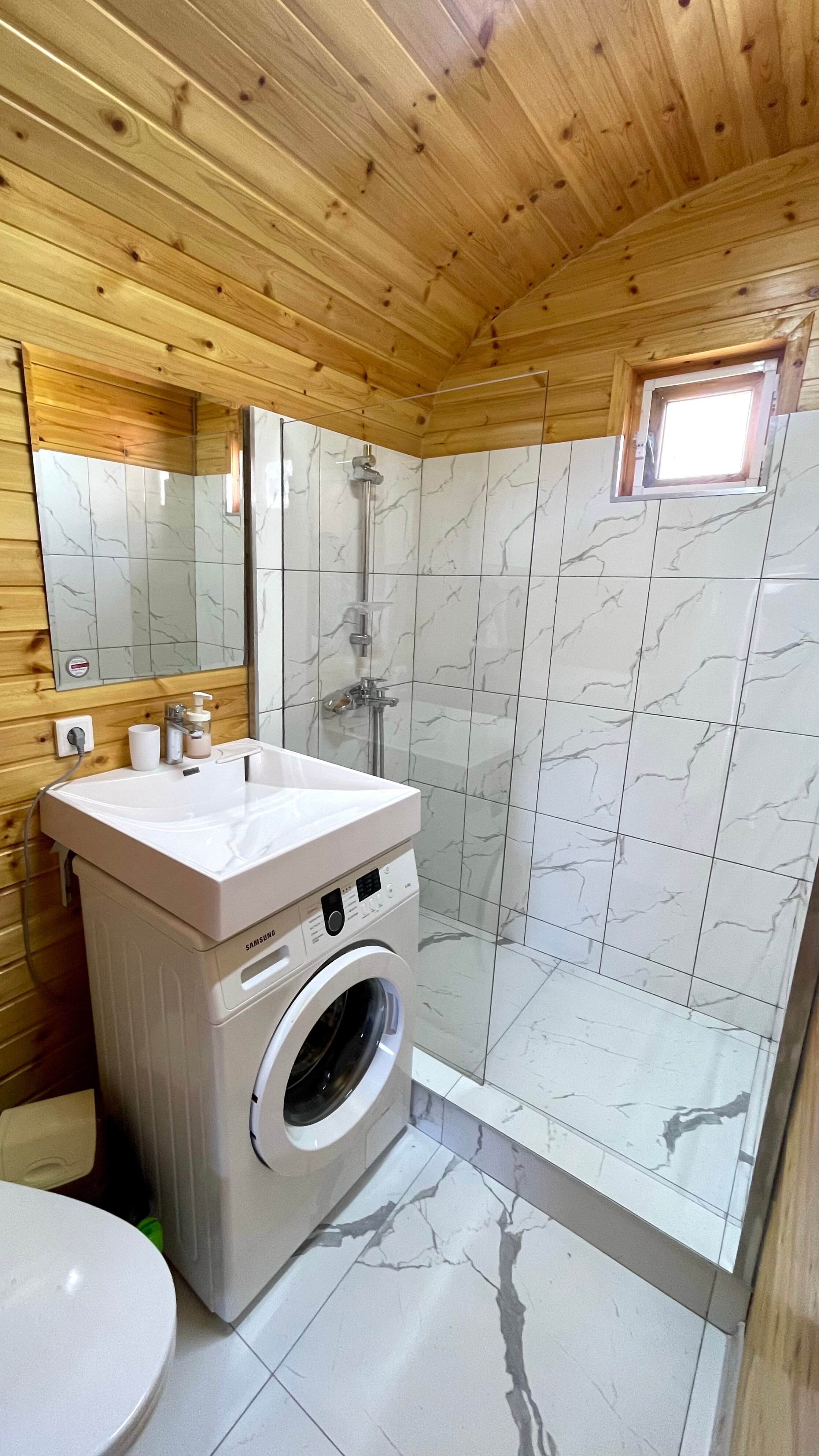 Фото Дельфин