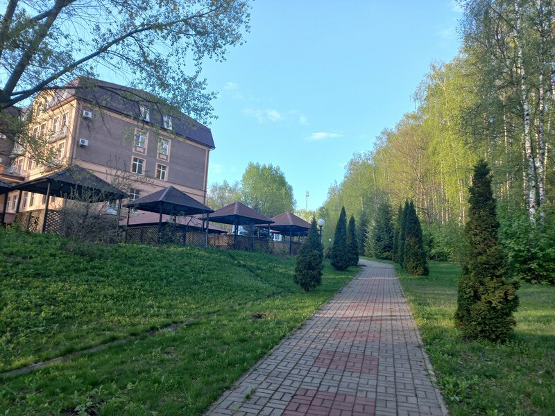 Роща невест — фото 27