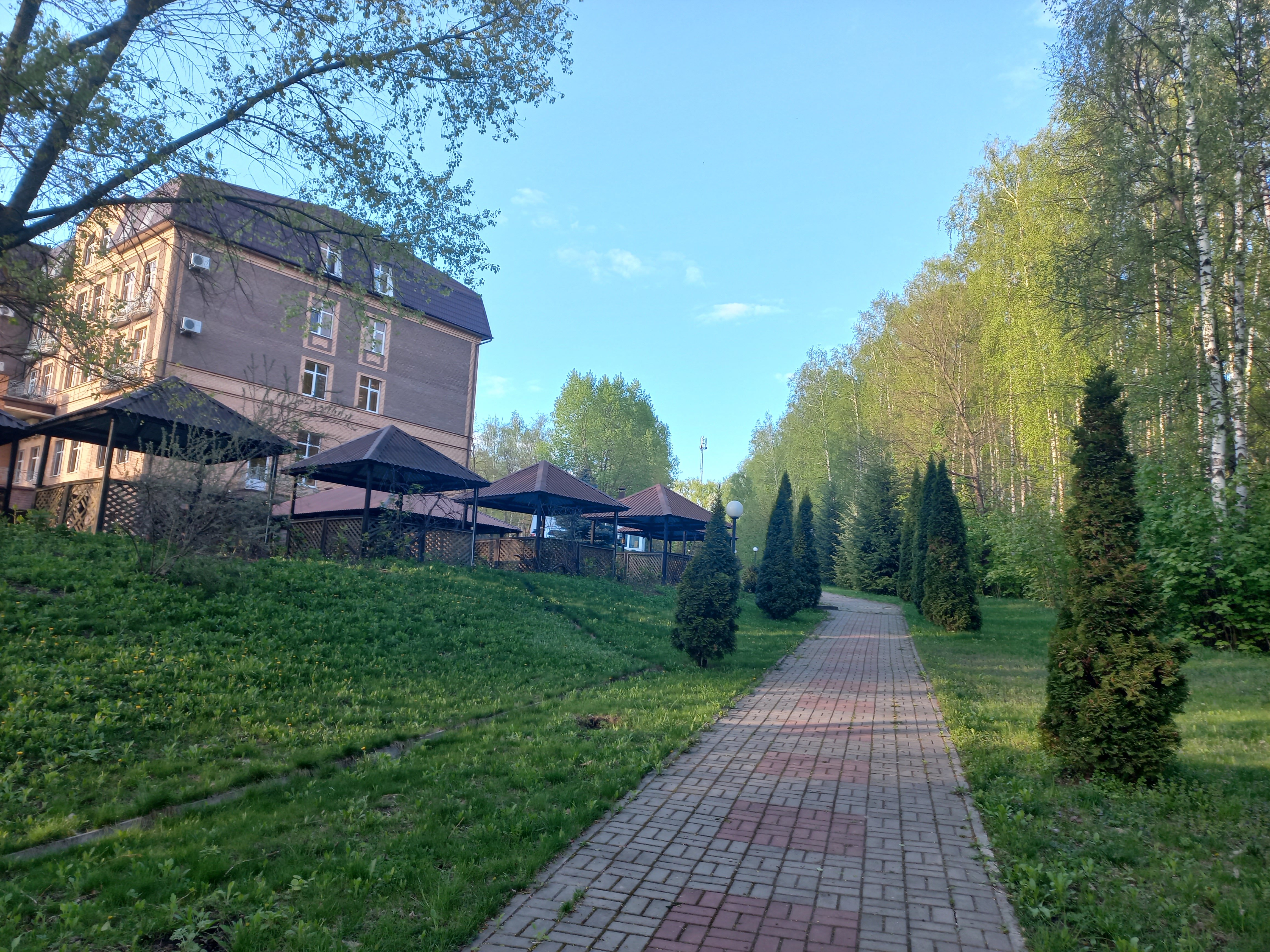 Фото Роща невест