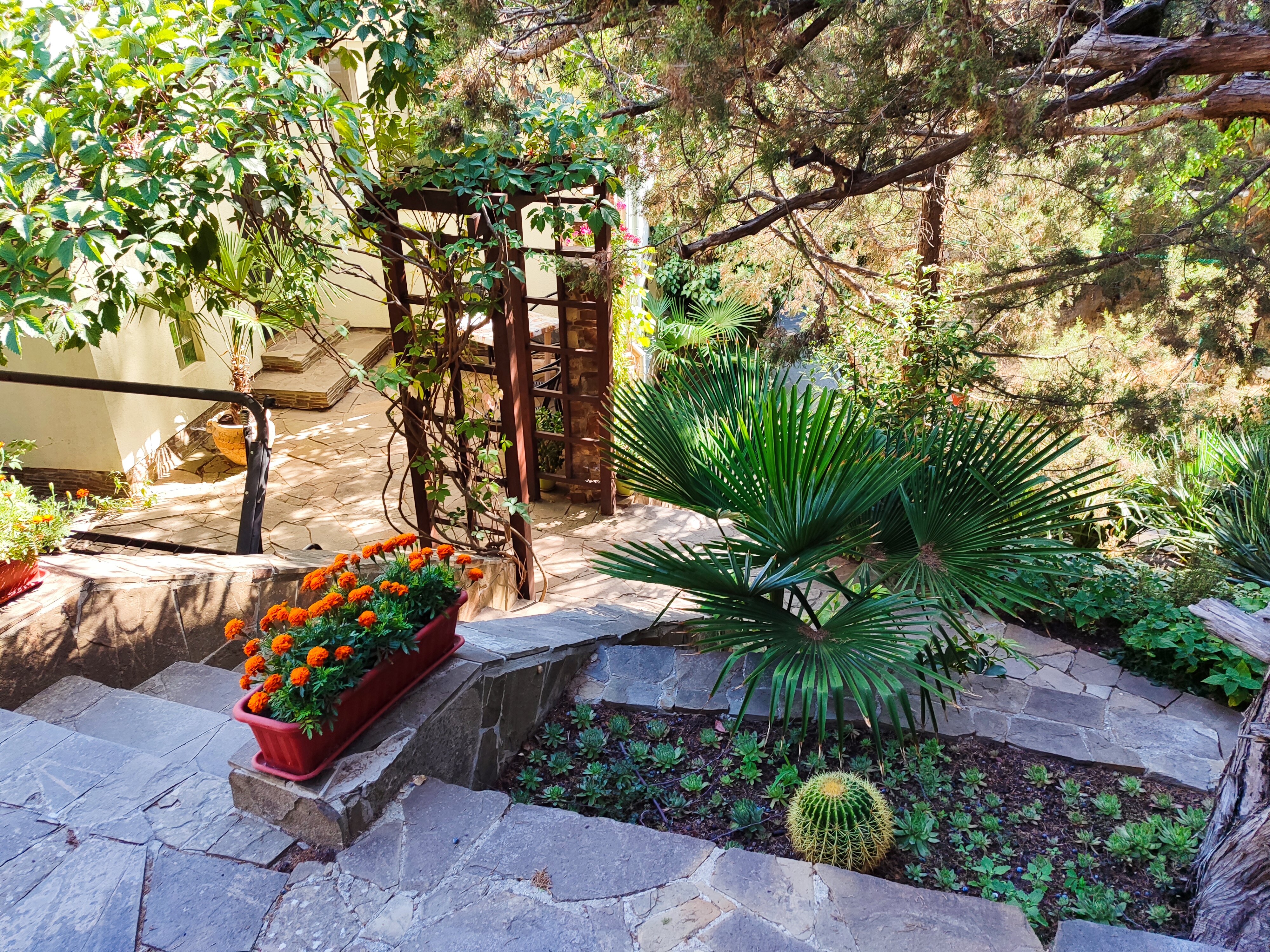 Фото Шаляпин Хаус