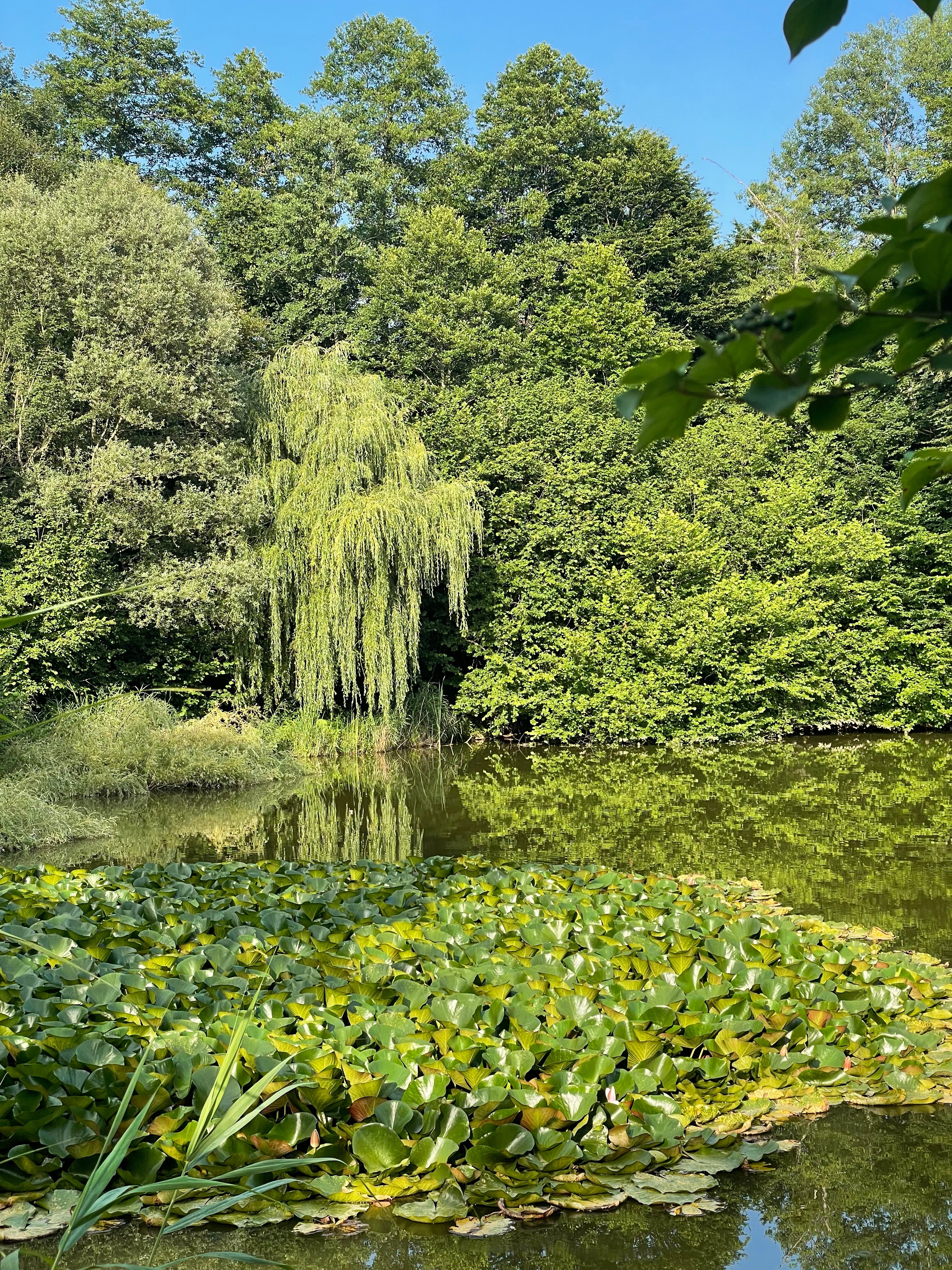 Фото Теремок