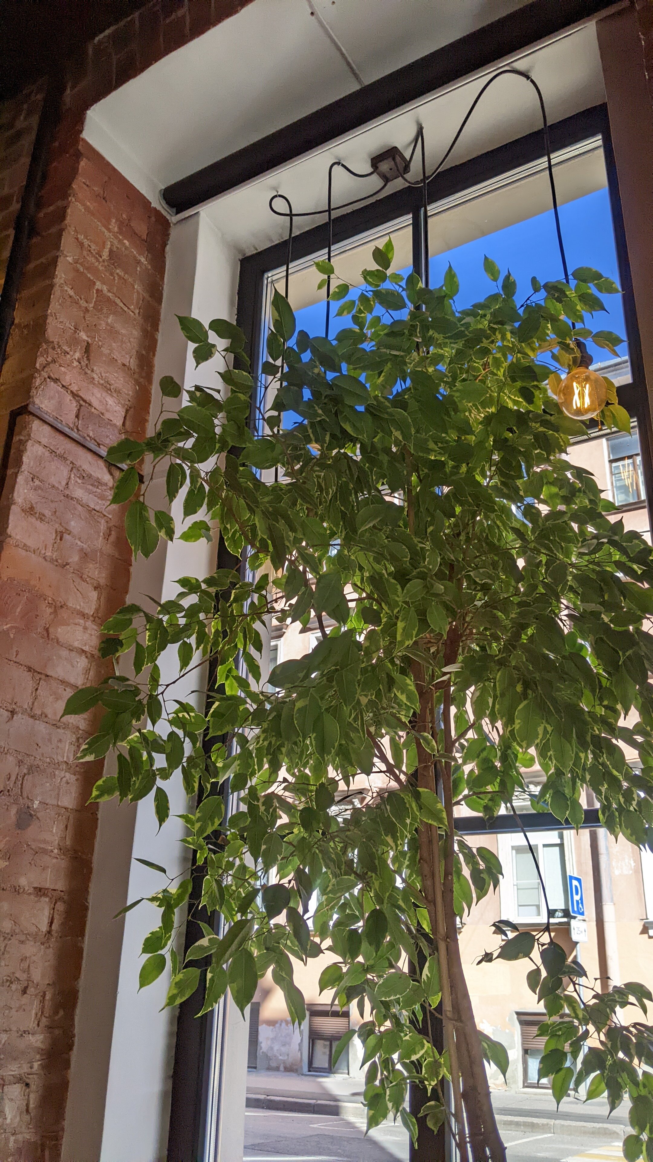 Фото Гостевой Дом на Садовой