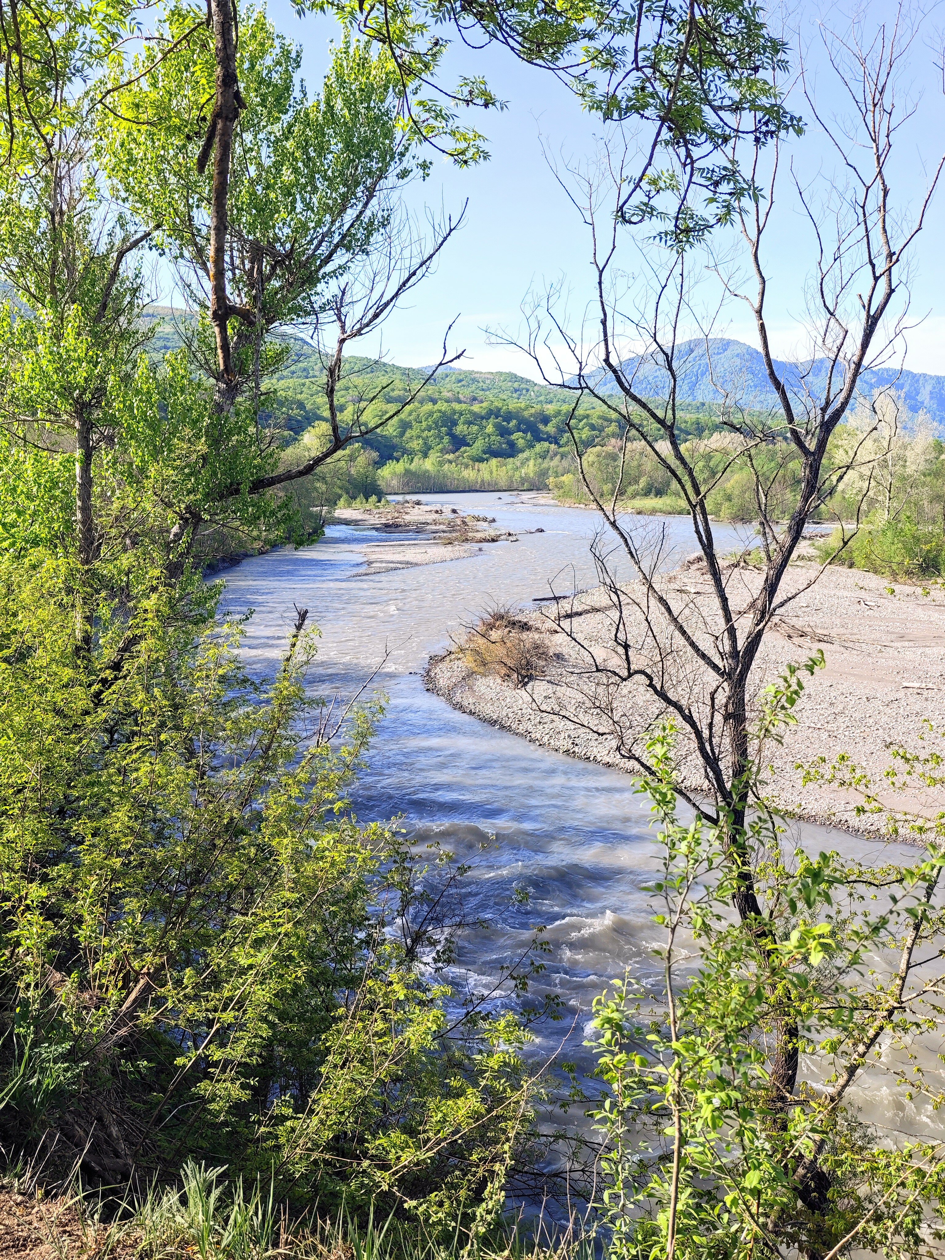 Фото Feshin Forest