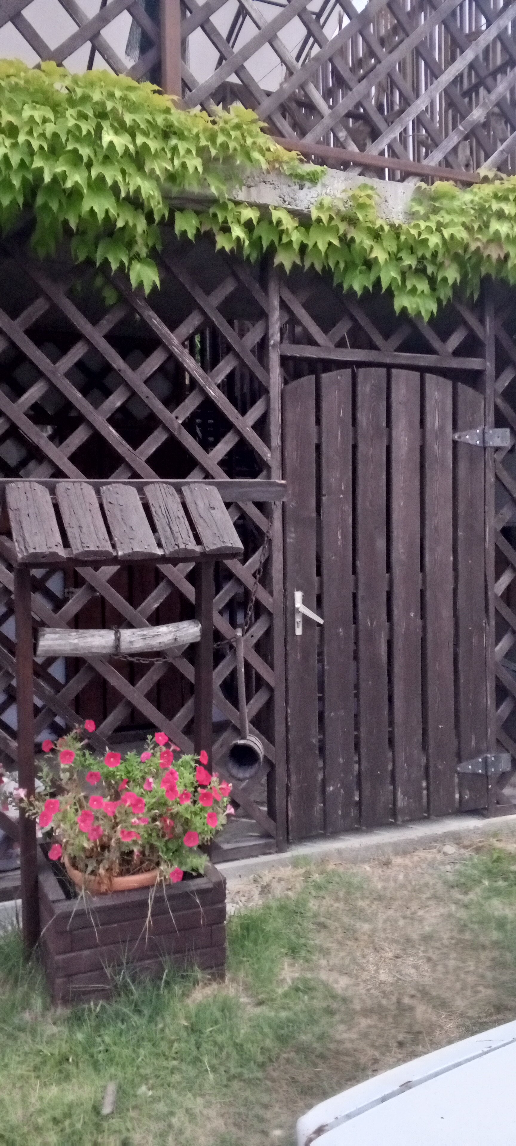 Фото Лукоморье