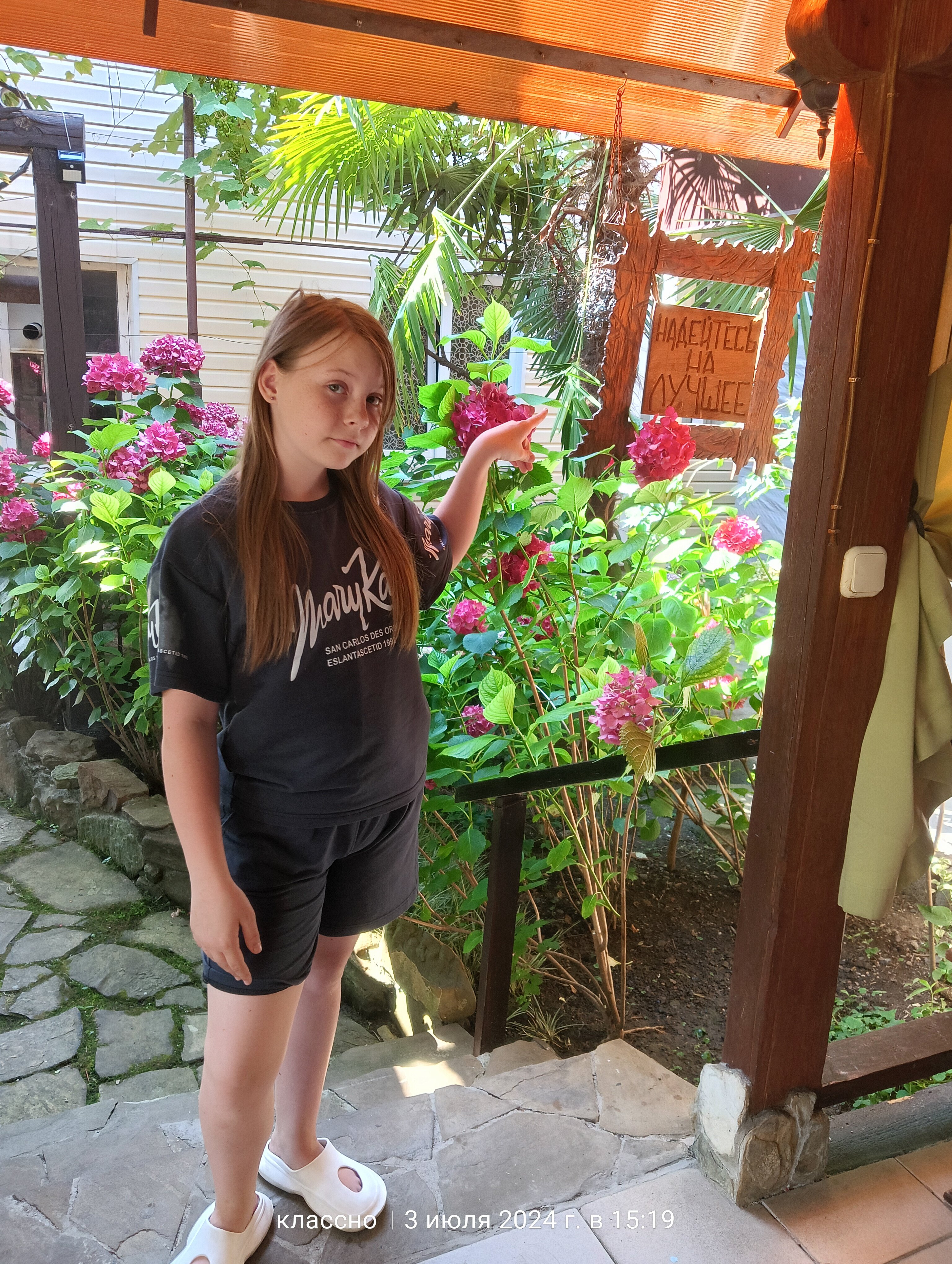 Фото Солнышко