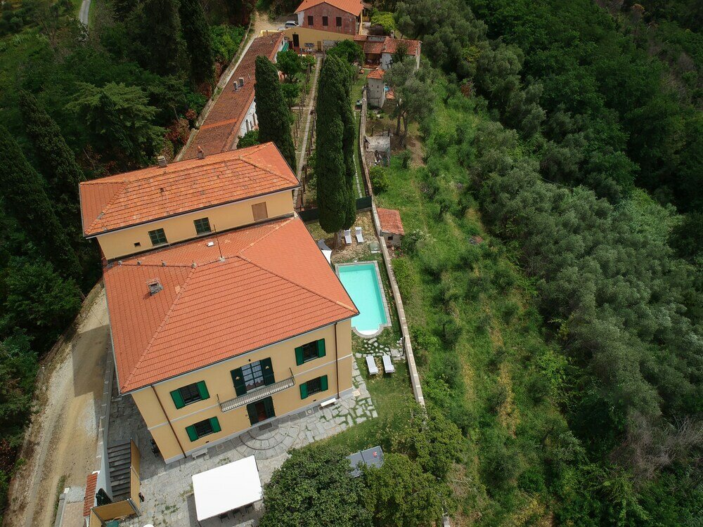 Фото The Gargoyles