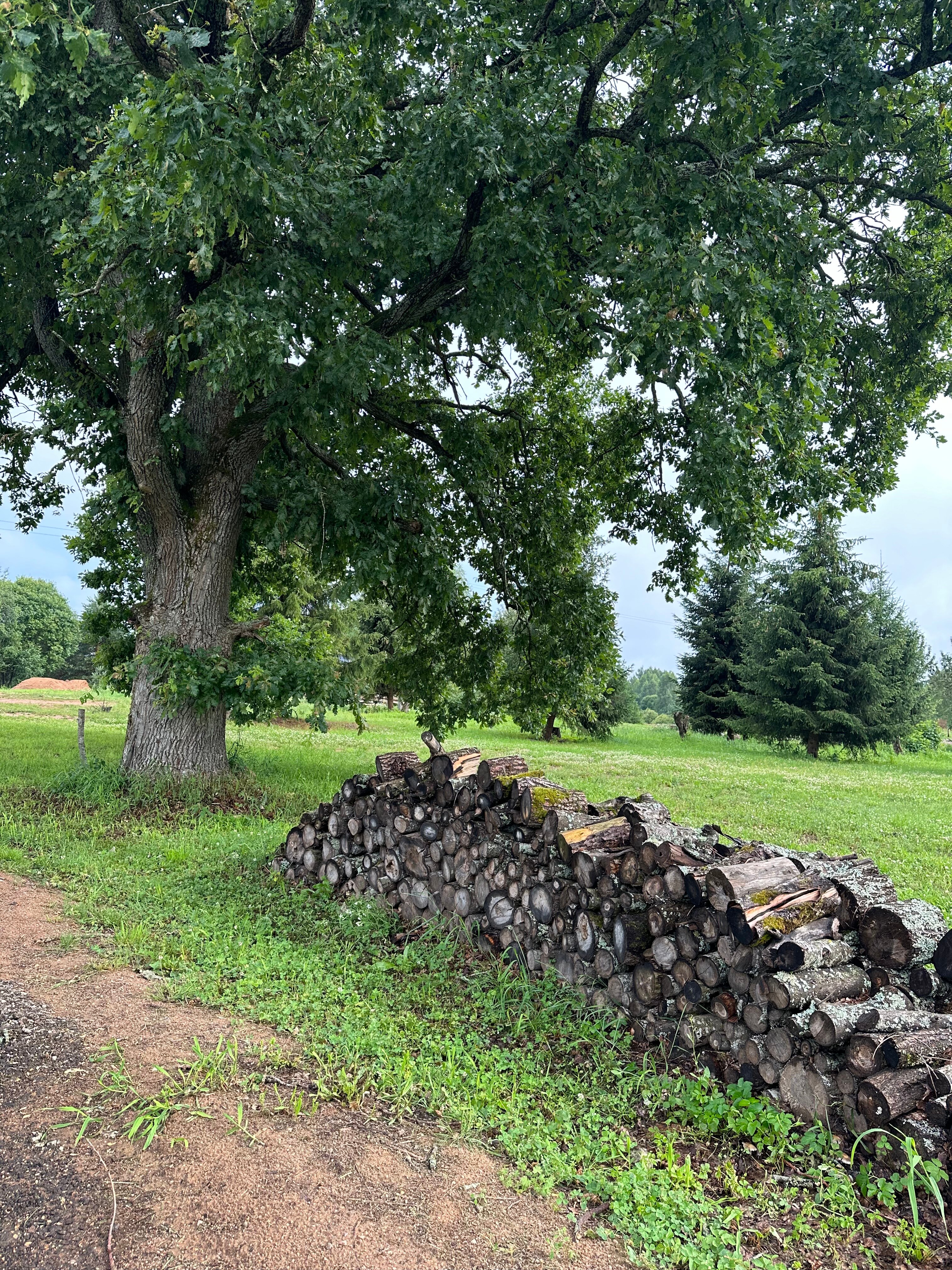 Фото База отдыха Ивашнёво
