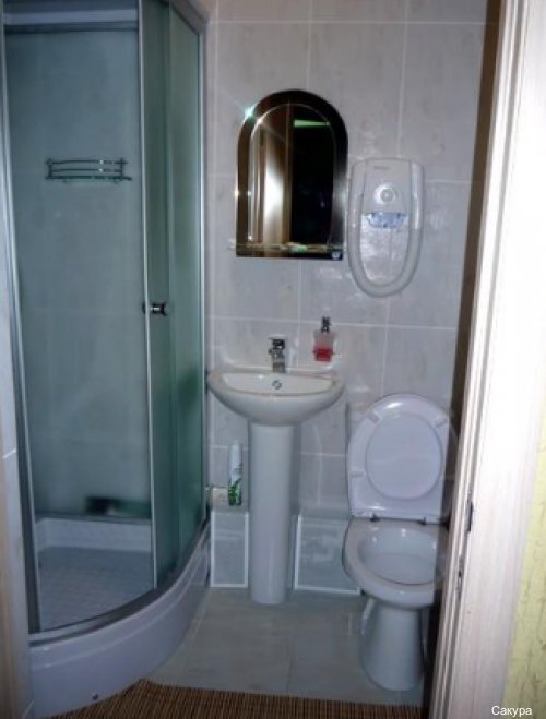 Фото Сакура Нео