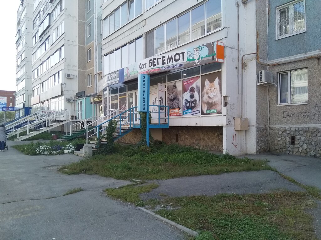 Pet salon Kot Begemot, Kamensk‑Uralskiy, photo