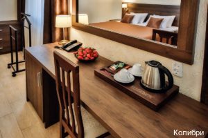 Фото Колибри